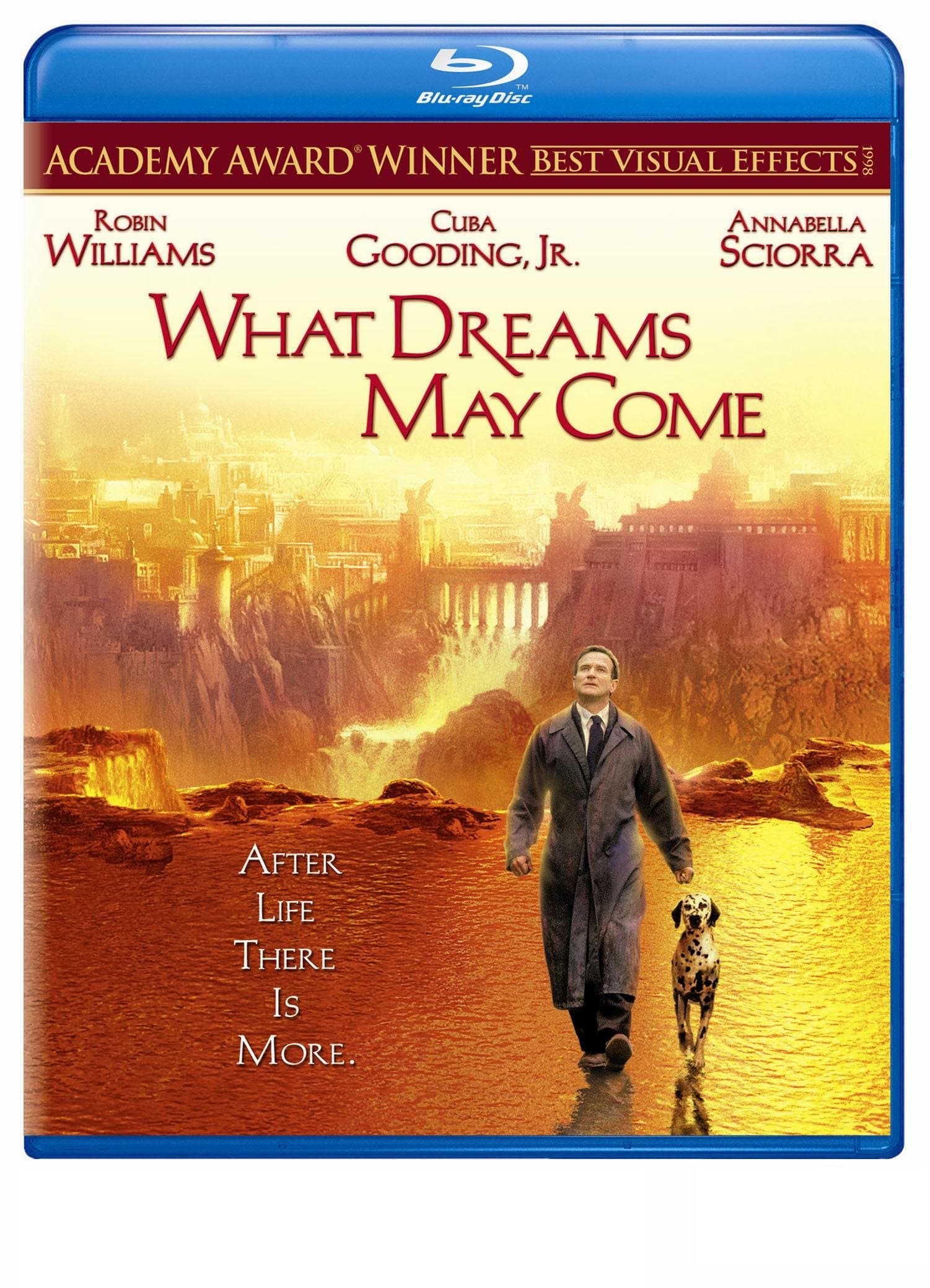 What Dreams May Come [Blu-ray] [1998] [US Import]