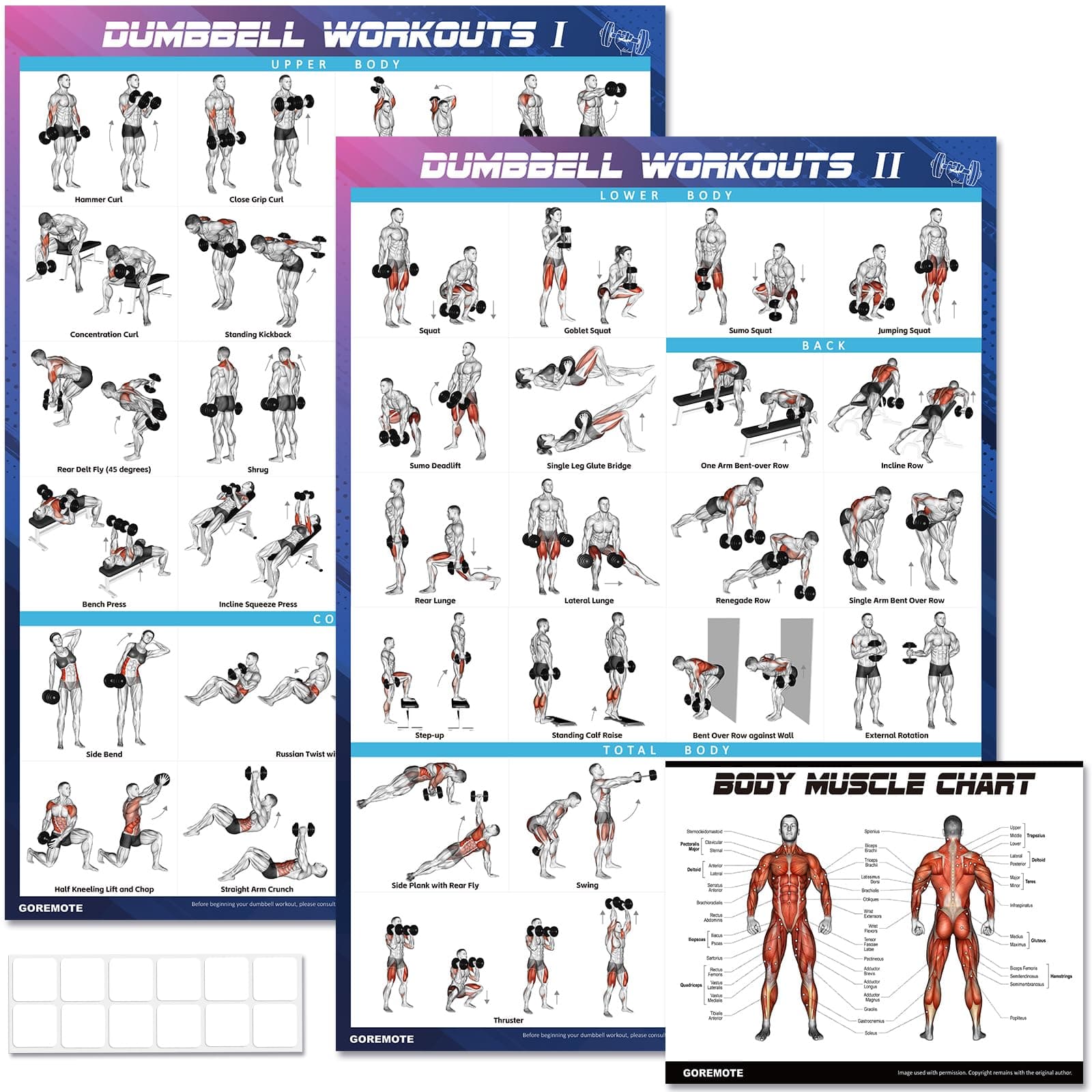 Dumbbell Workout Poster Set (2 Pack) - Workout Posters for Home Gym, Volume I & II - 18" x 24" with Enlarged Dumbbell Exercise Charts Illustrations, Home Gym Decor