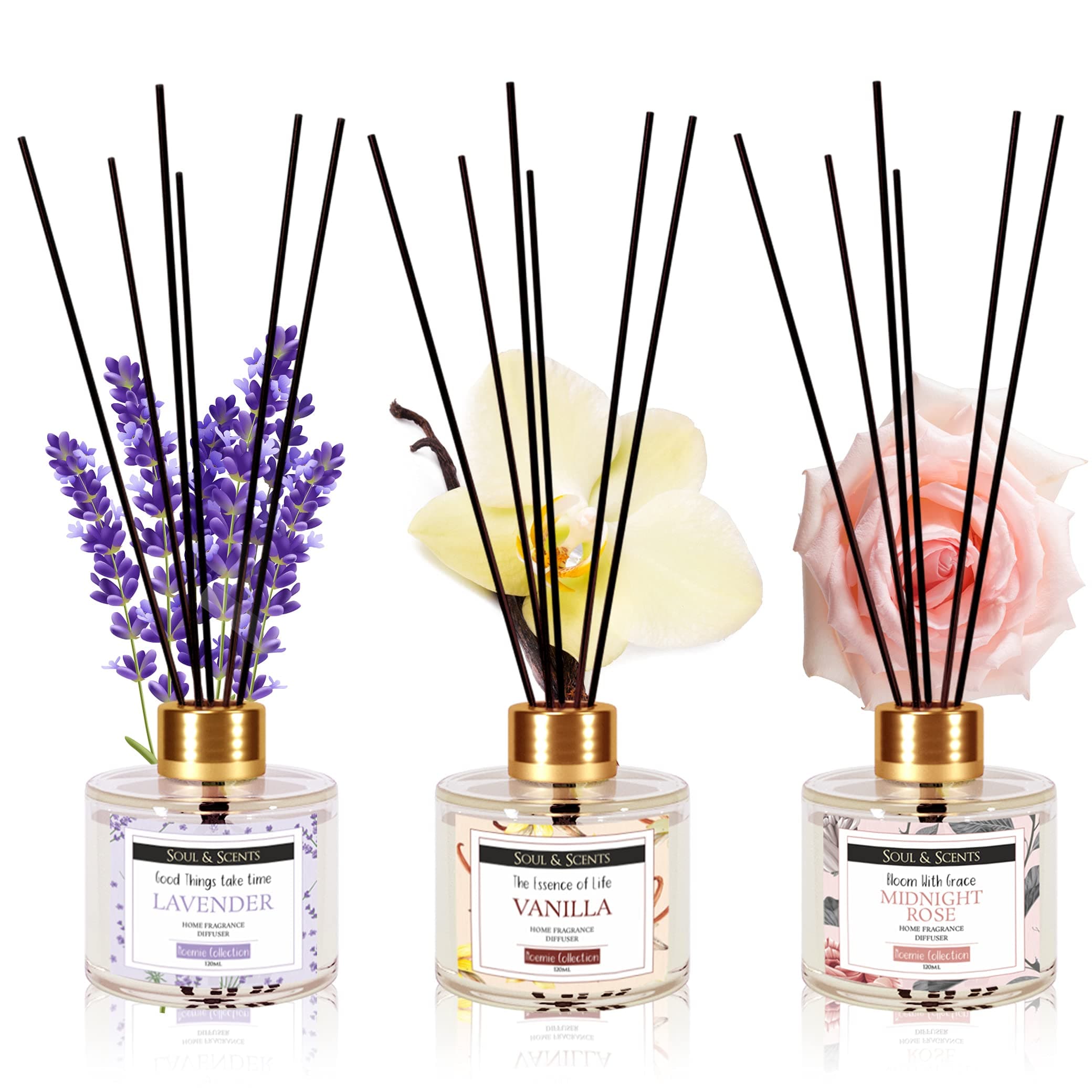 Glass Lavender, Vanilla and Midnight Rose Reed Diffuser Set - 120ml with Free 6 Fiber Reed Sticks Each| Toxin Free & Stress Relief| Room Freshener for Home, & Office| Combo Pack of 3