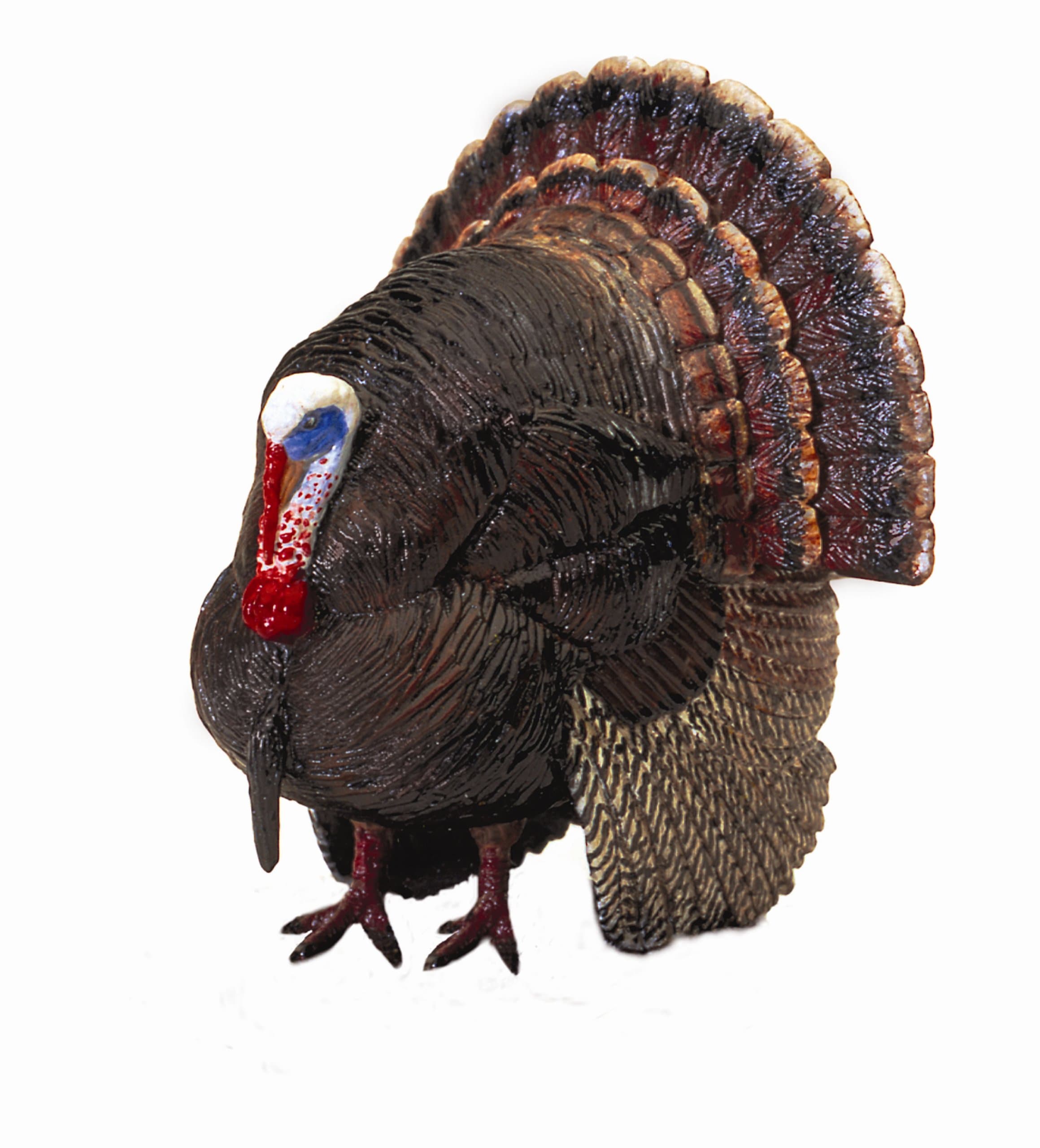 Hunter Dan Boss Tom Wild Turkey