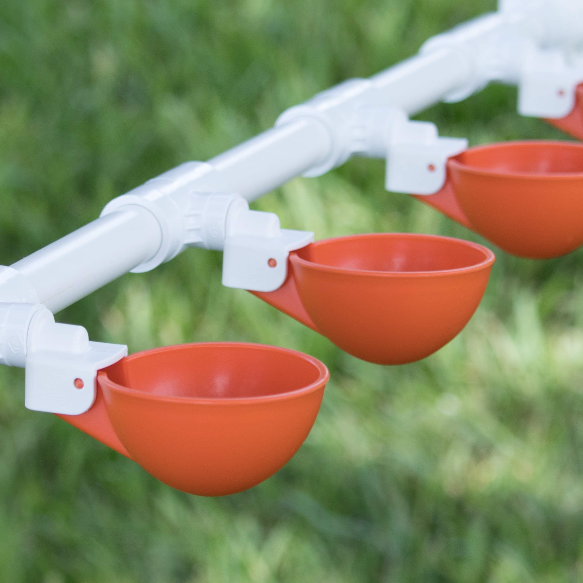 Backyard Flock Expansion Pack for The Oasis Poultry Watering System (Sold Separately) - 4 Cups (Orange) with PVC Tee Fittings