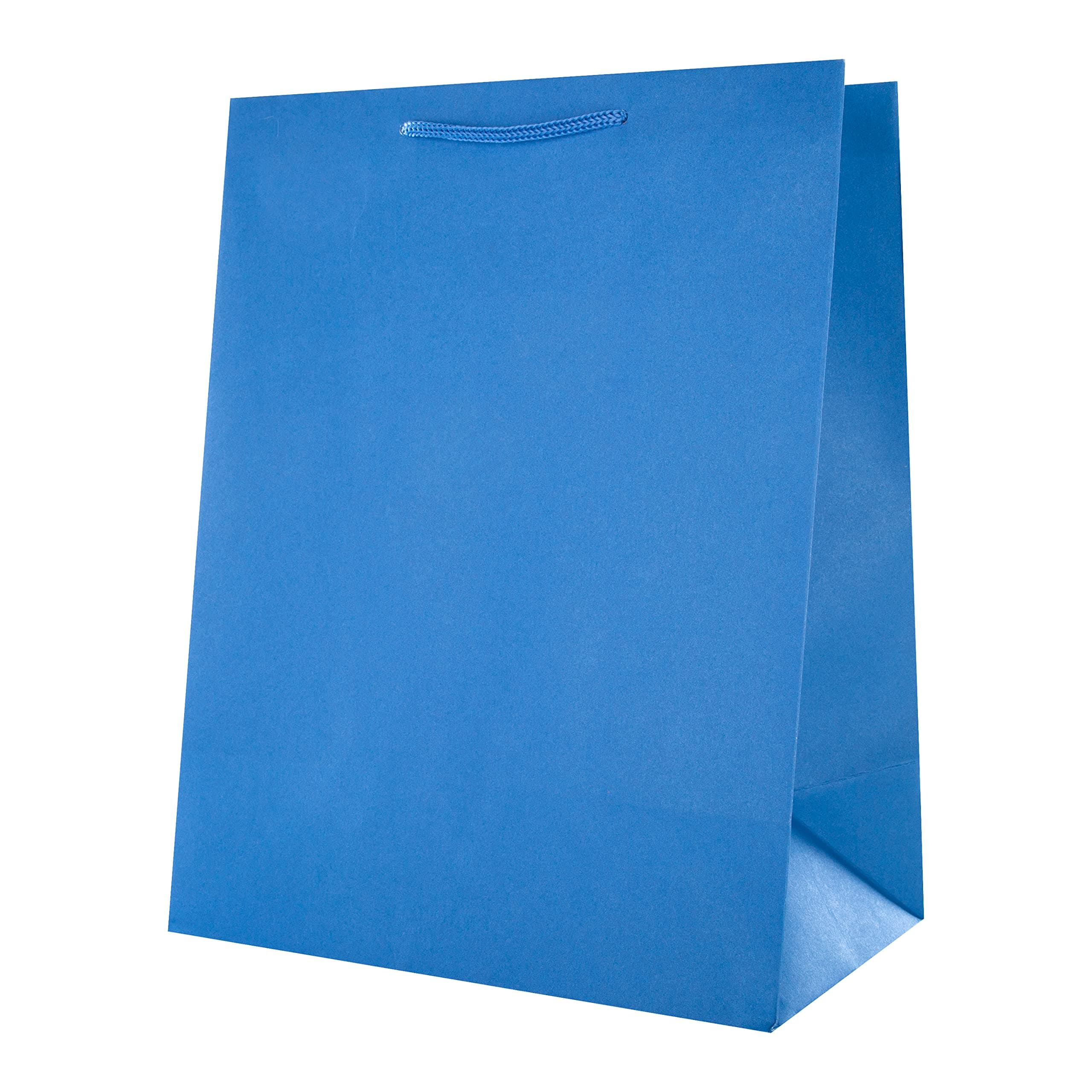 Hallmark Multi-Occasion Large Gift Bag - Plain Blue