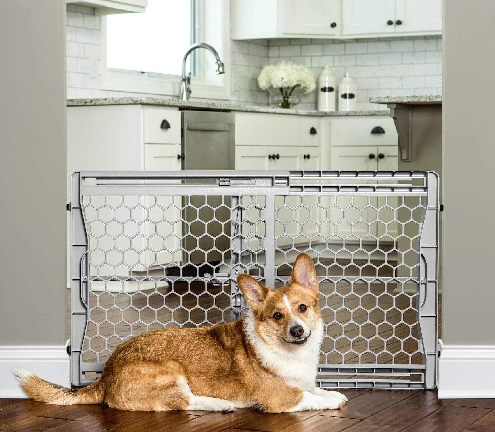 Carlson Plastic Expandable Pet Gate