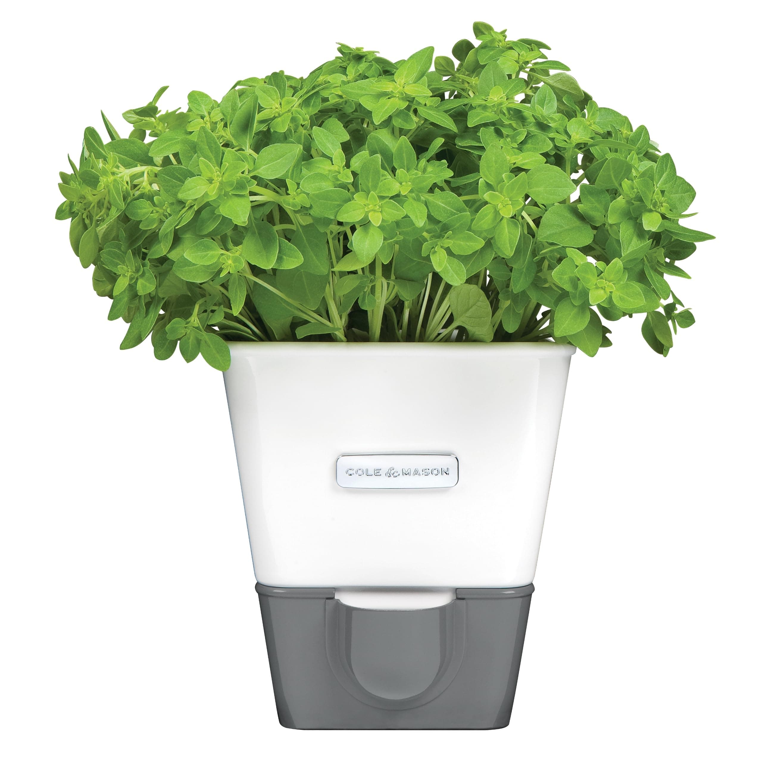 COLE & MASON Container 1 EA White H105249WH