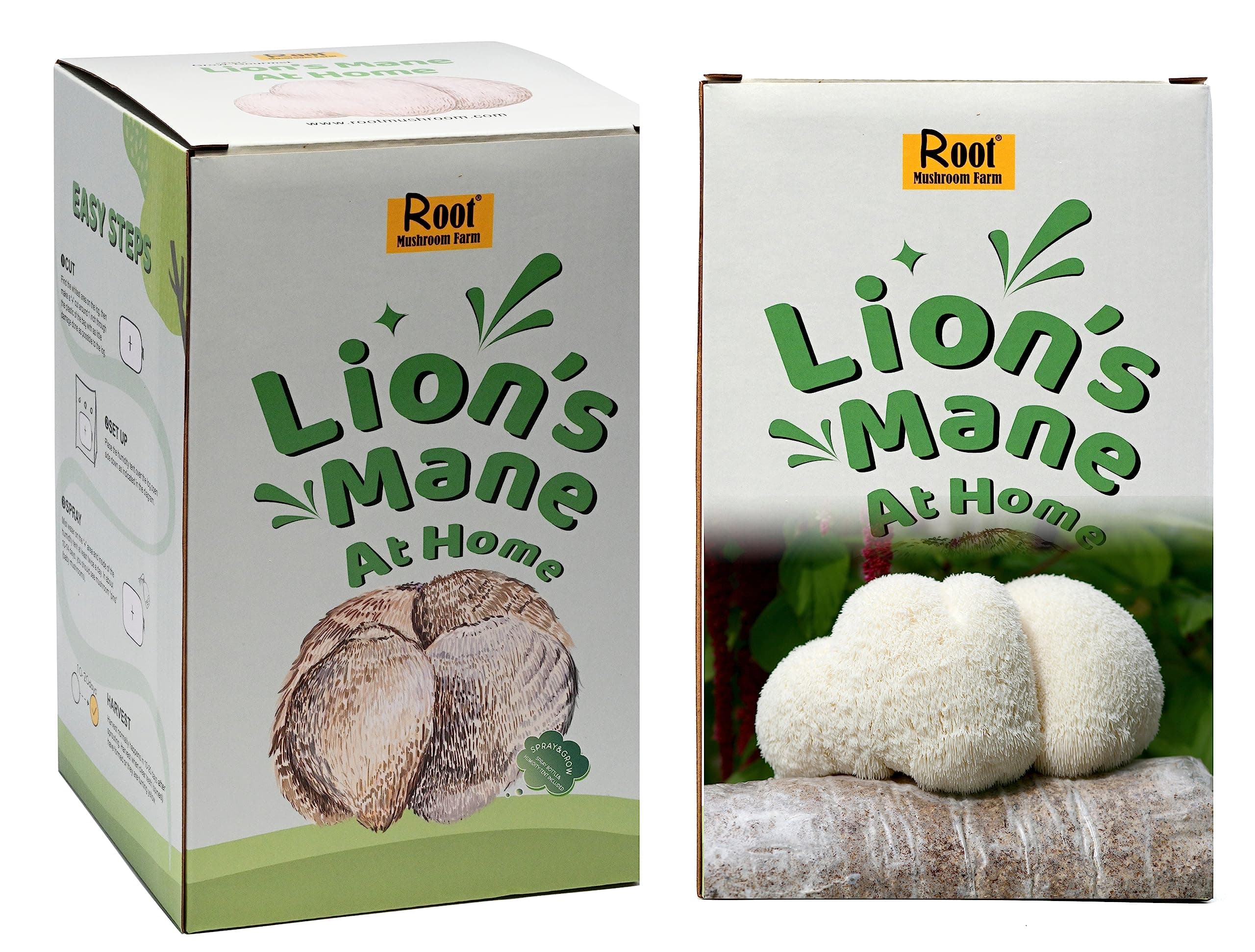 Two Lion's Mane Grow Kits (3.2 Pound Each)