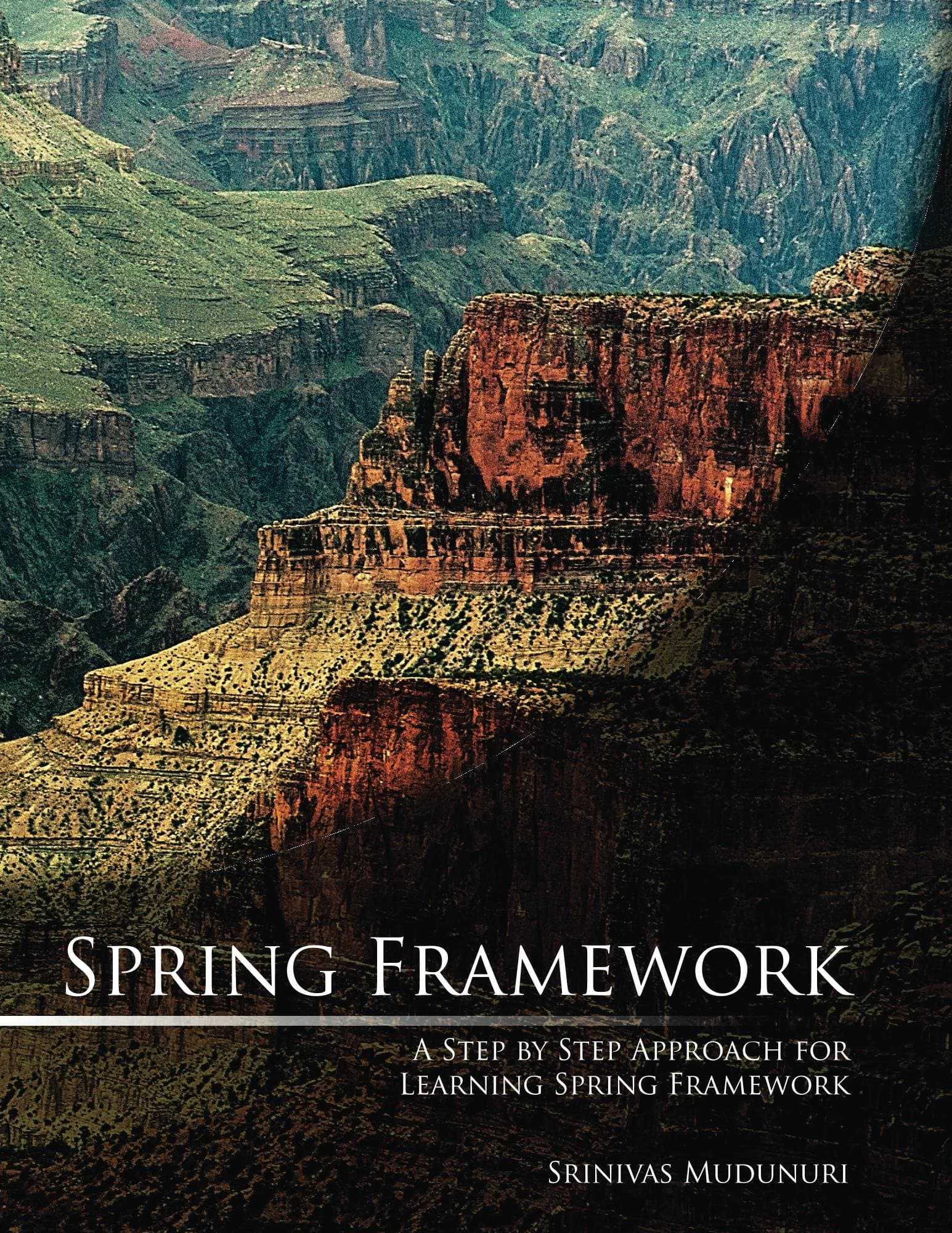 Spring Framework Kindle Edition