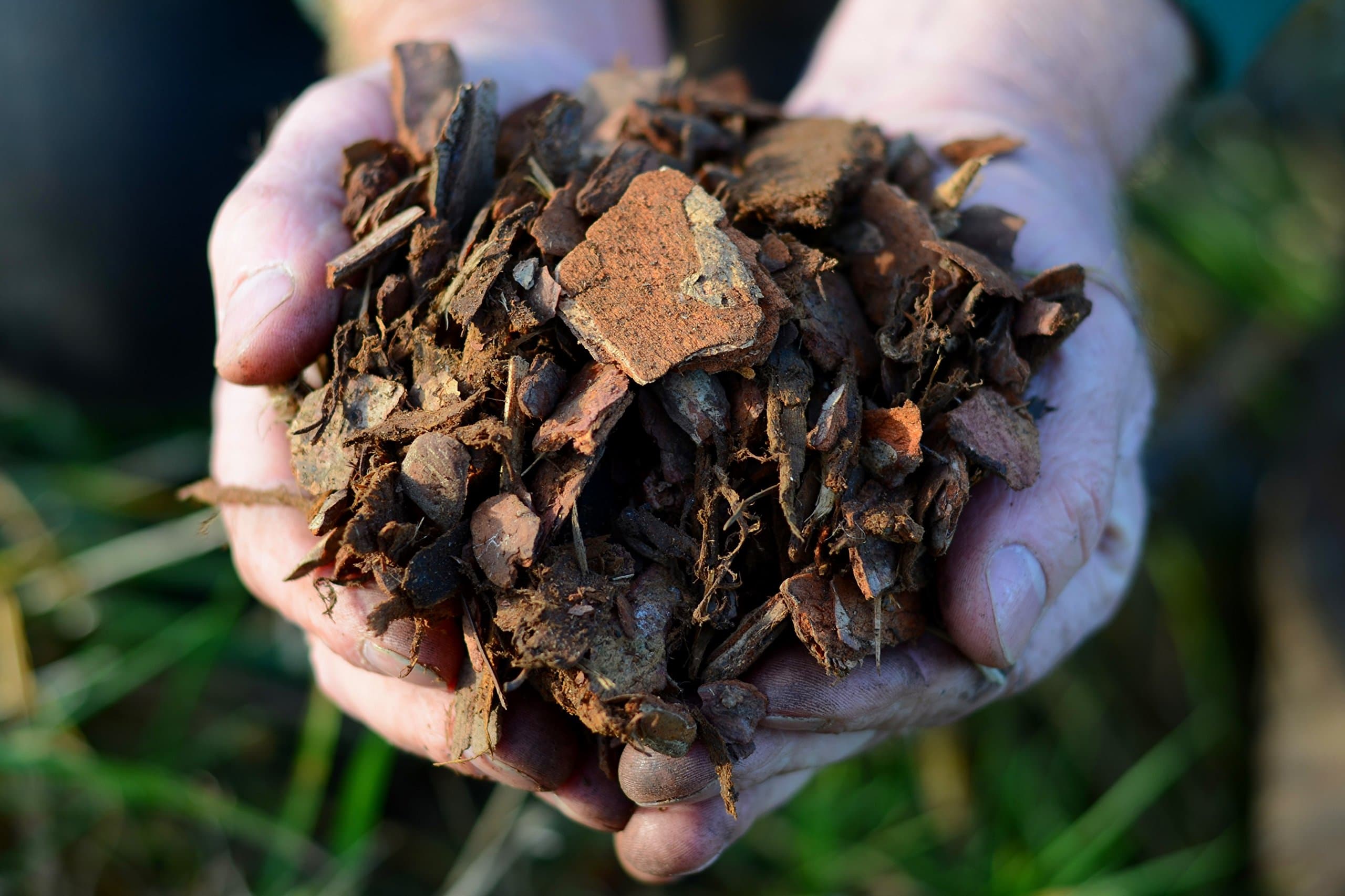 Field Compost Ltd Play Bark (Huge 1000L Bulk Bag!!)