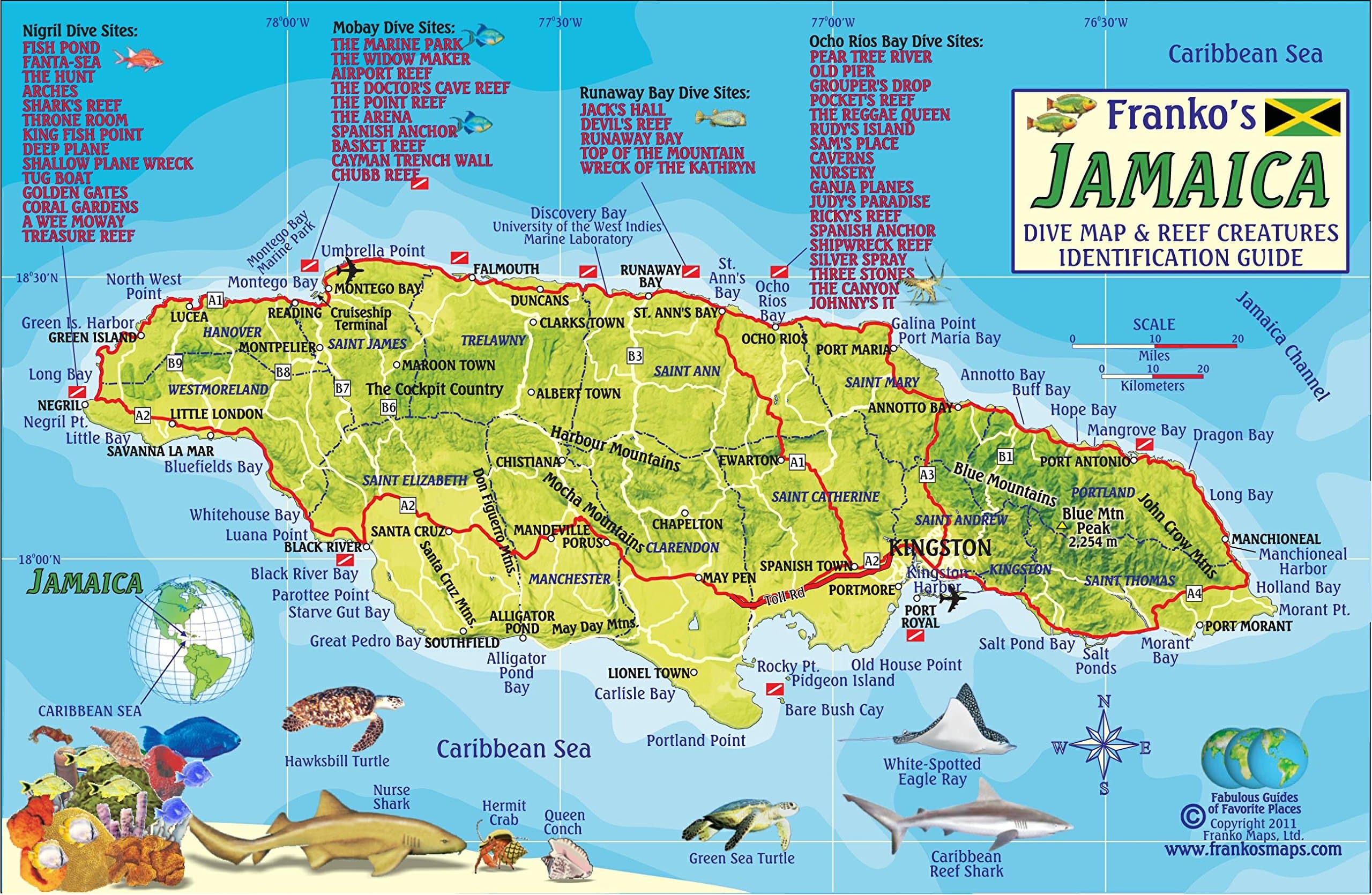 Jamaica Dive Map & Coral Reef Creatures Guide Franko Maps Laminated Fish Card