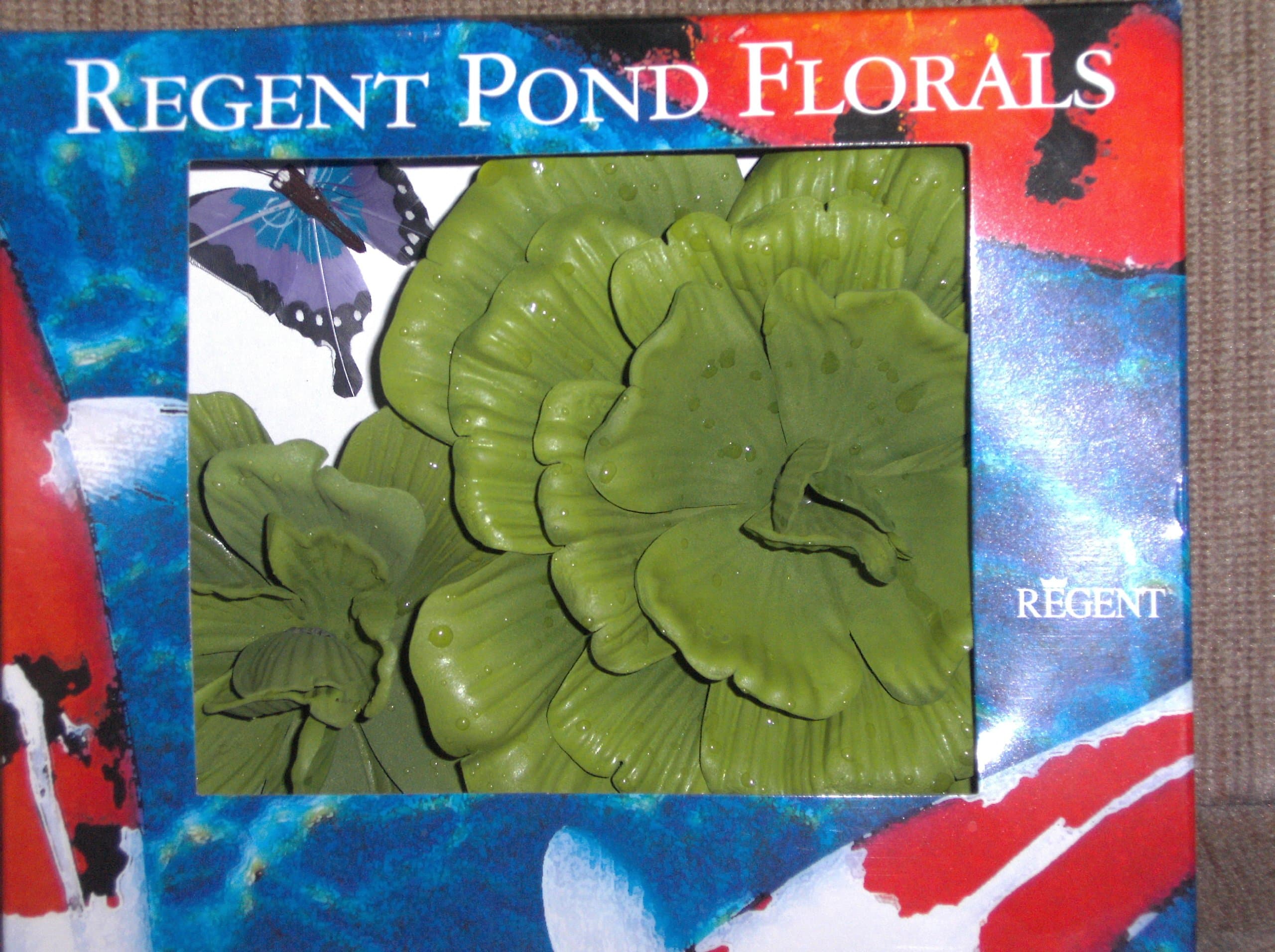 REGENT POND FLORALS WATER LETTUCE