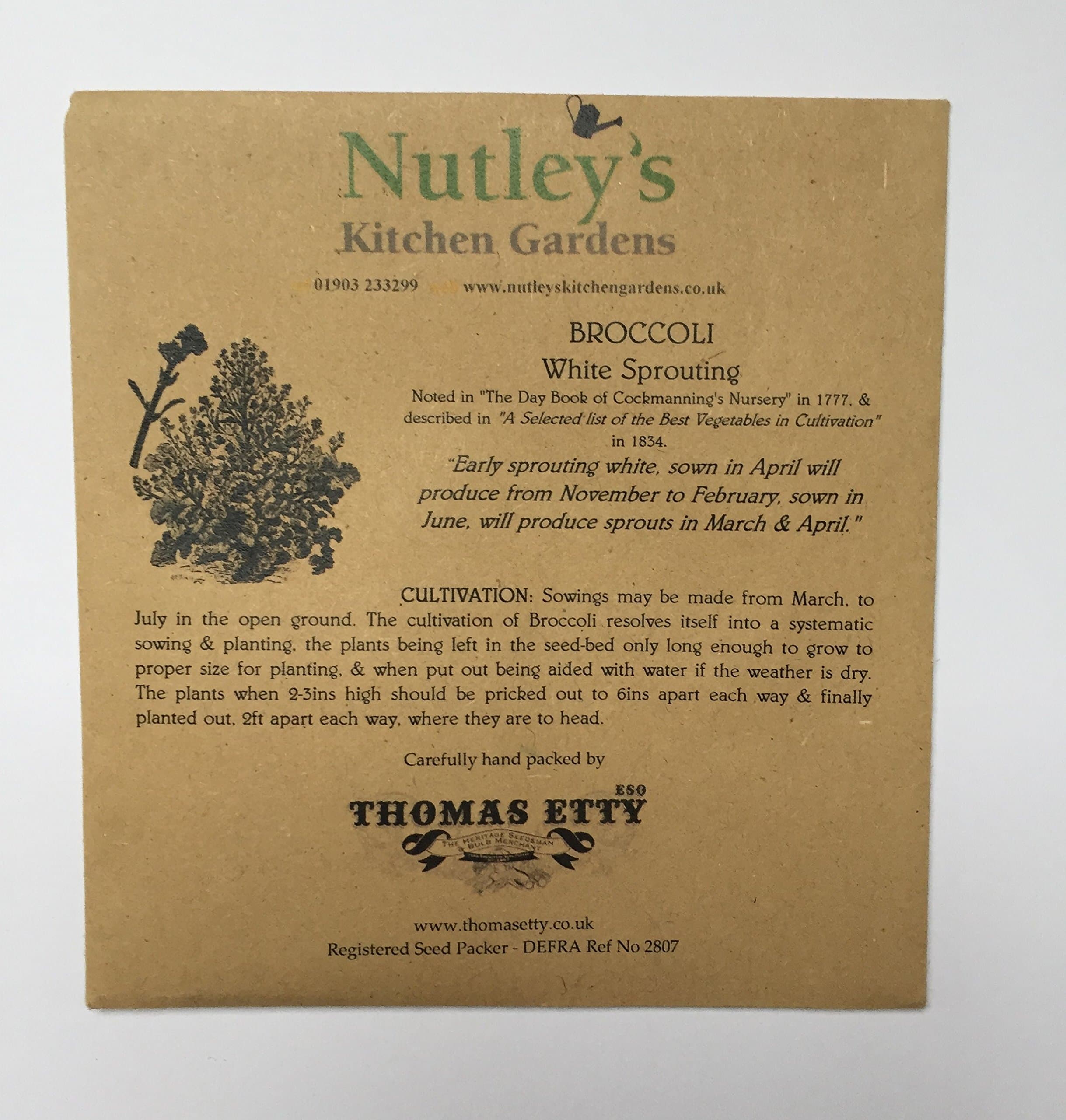 Nutley's Thomas Etty Heritage White Sprouting Broccoli Seeds