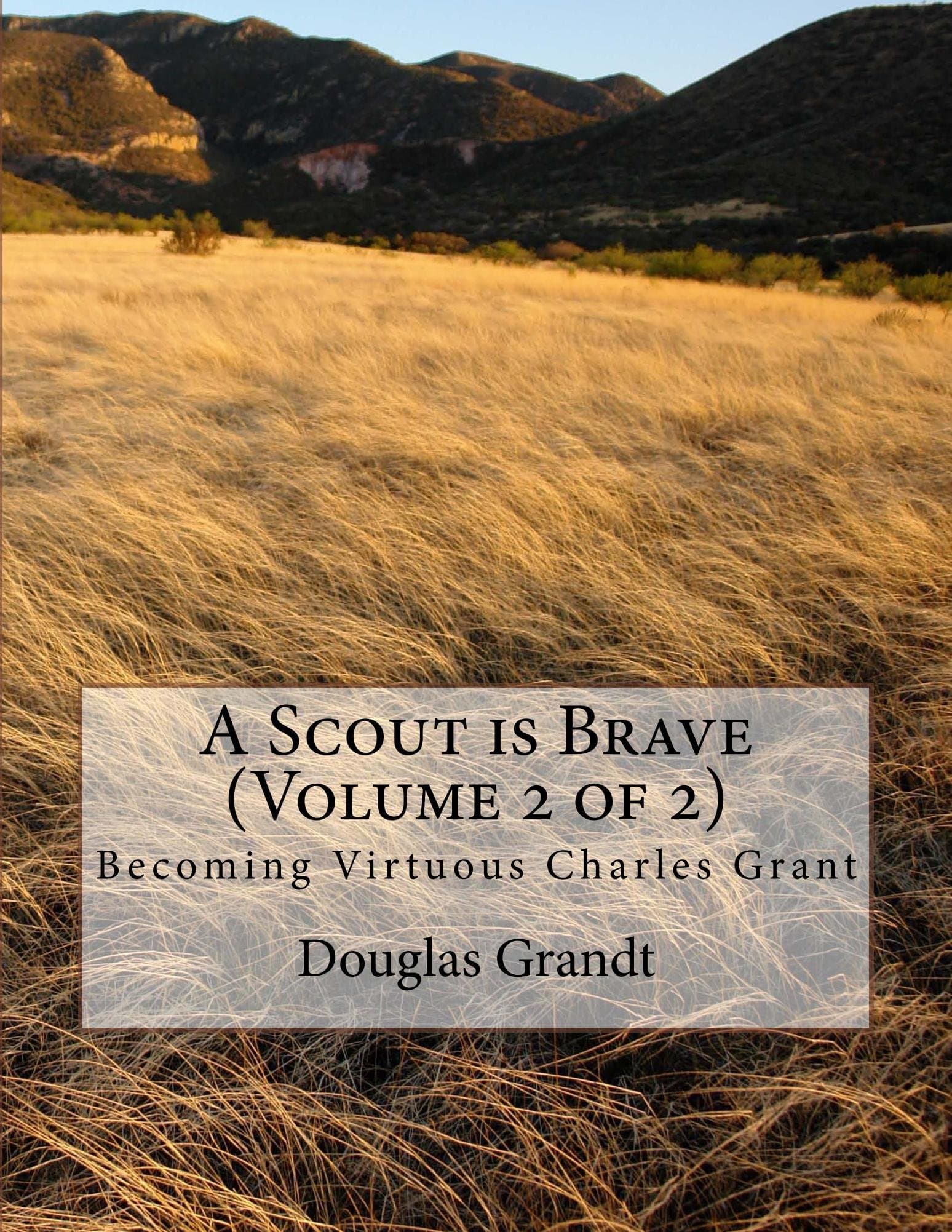 A Scout is Brave (Volume 2 of 2)