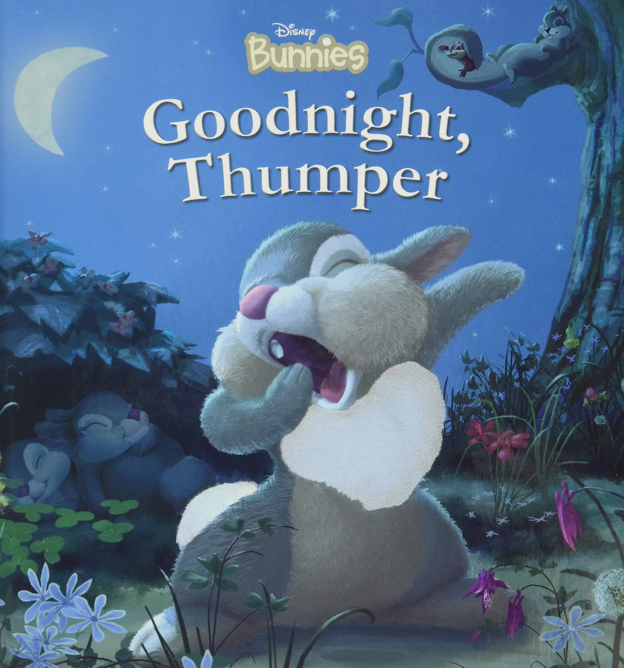 Disney Bunnies Goodnight, Thumper!