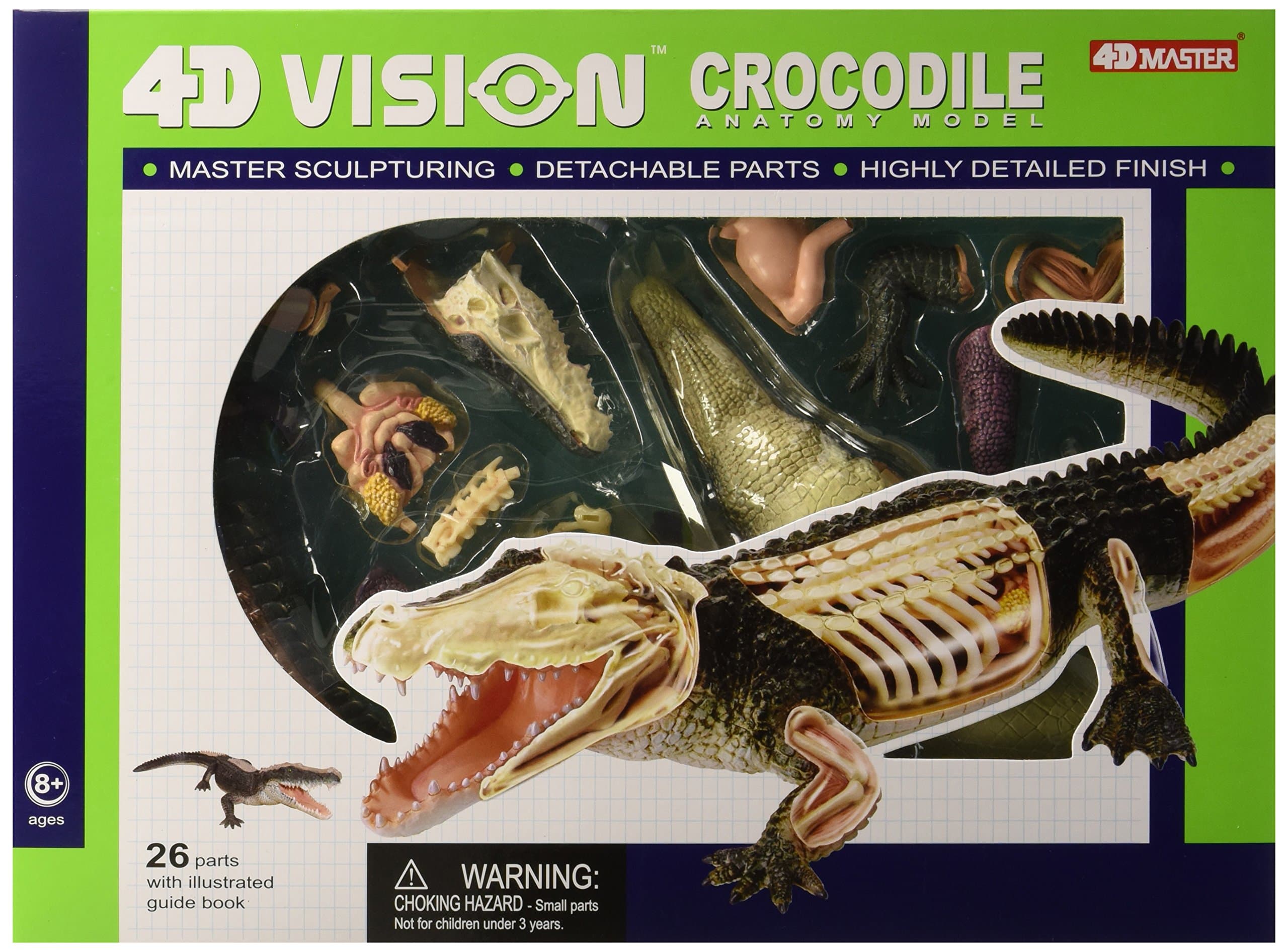 Famemaster 4D Vision Crocodile Anatomy Model