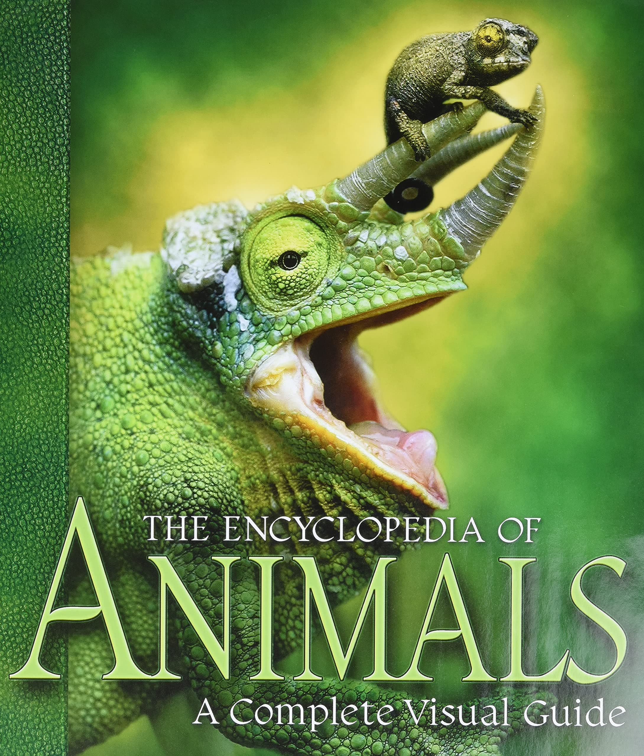 The Encyclopedia of Animals: A Complete Visual Guide