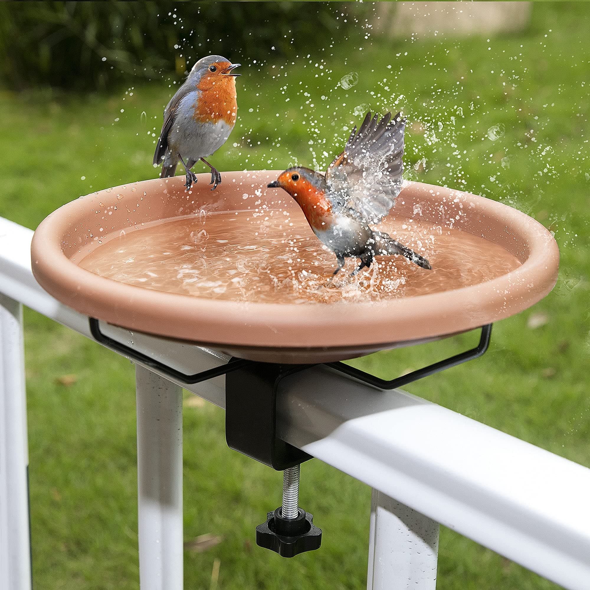 Bird Bath Bowl
