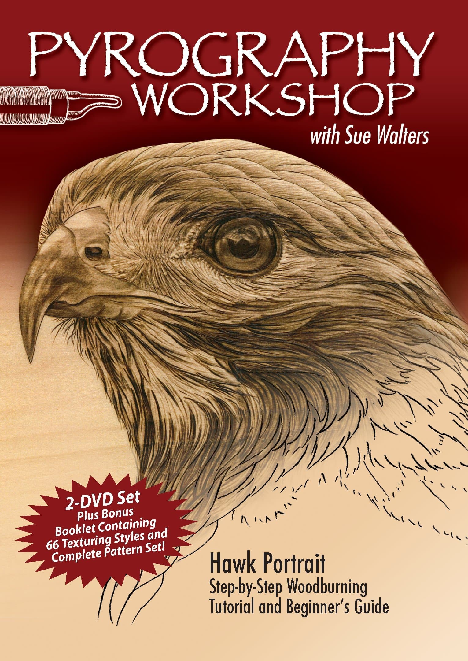Pyrography Workshop With Sue Walters: Hawk Portrait, Step-by-step Woodburning Tutorial and Beginner's Guide [Region 1]