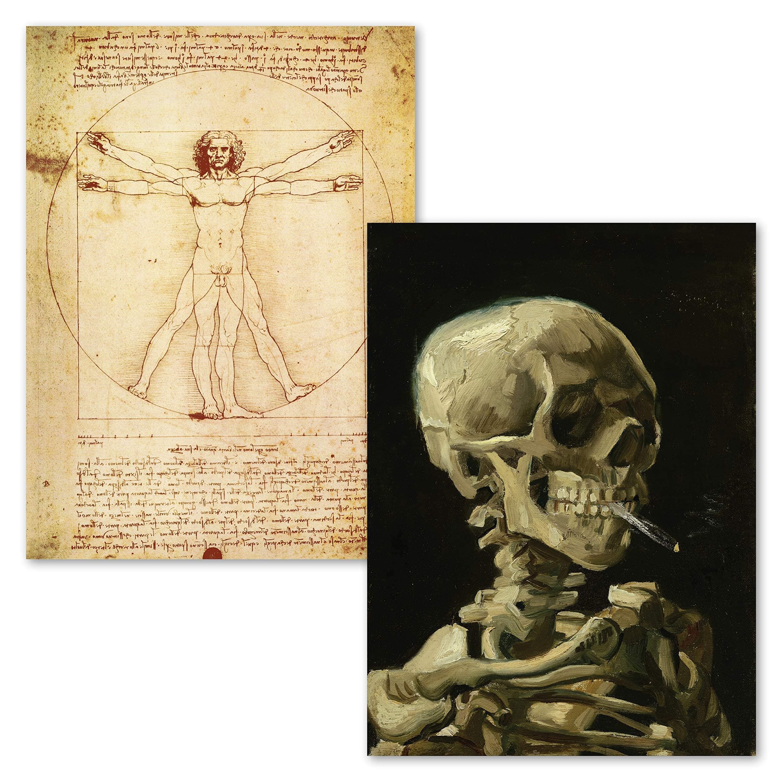 Palace Learning 2 Pack - Vitruvian Man by Leonardo Da Vinci + Vincent Van Gogh Skeleton Poster - Fin Art Prints (Laminated, 18" x 24")