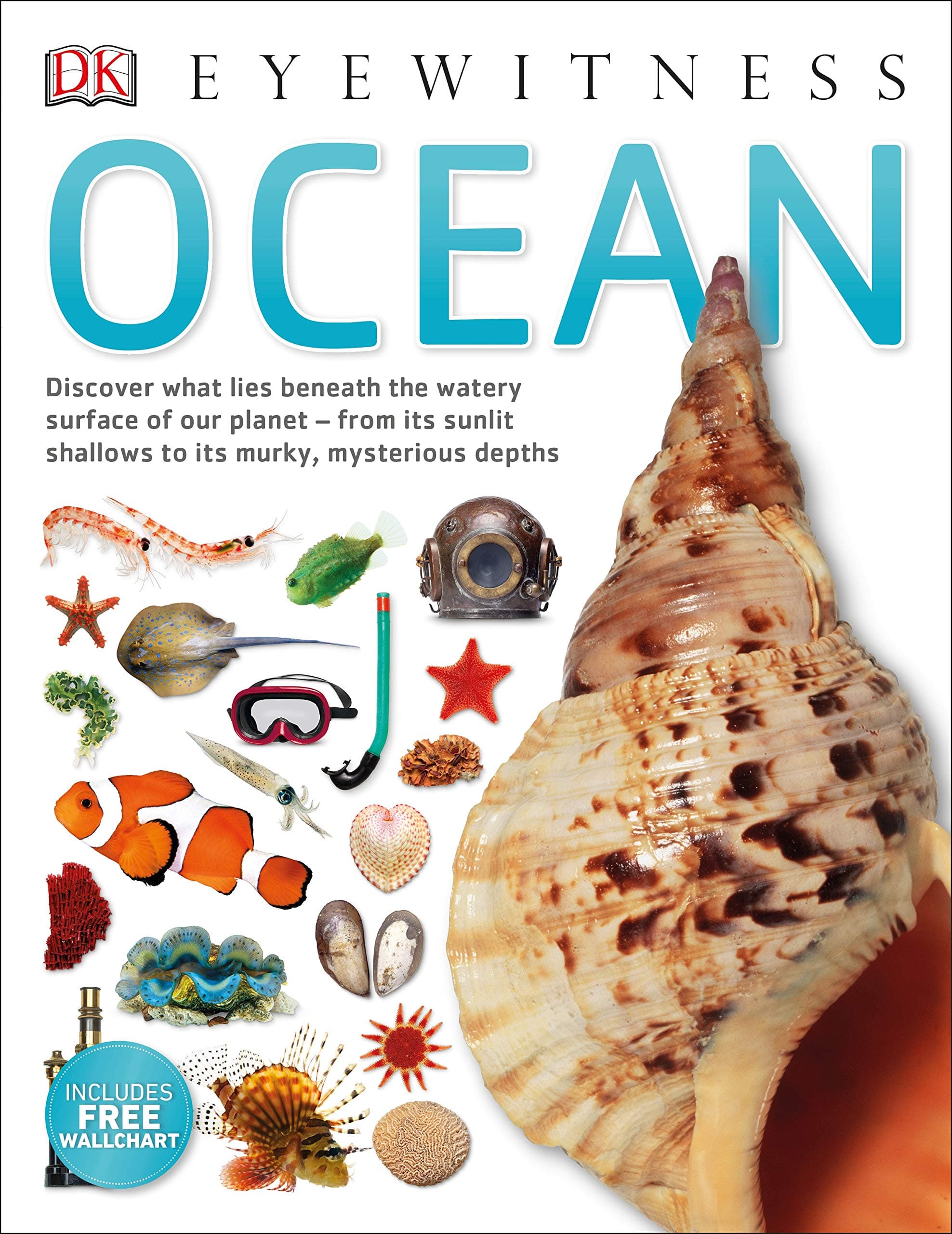 Ocean (DK Eyewitness) Paperback – 25 July 2019