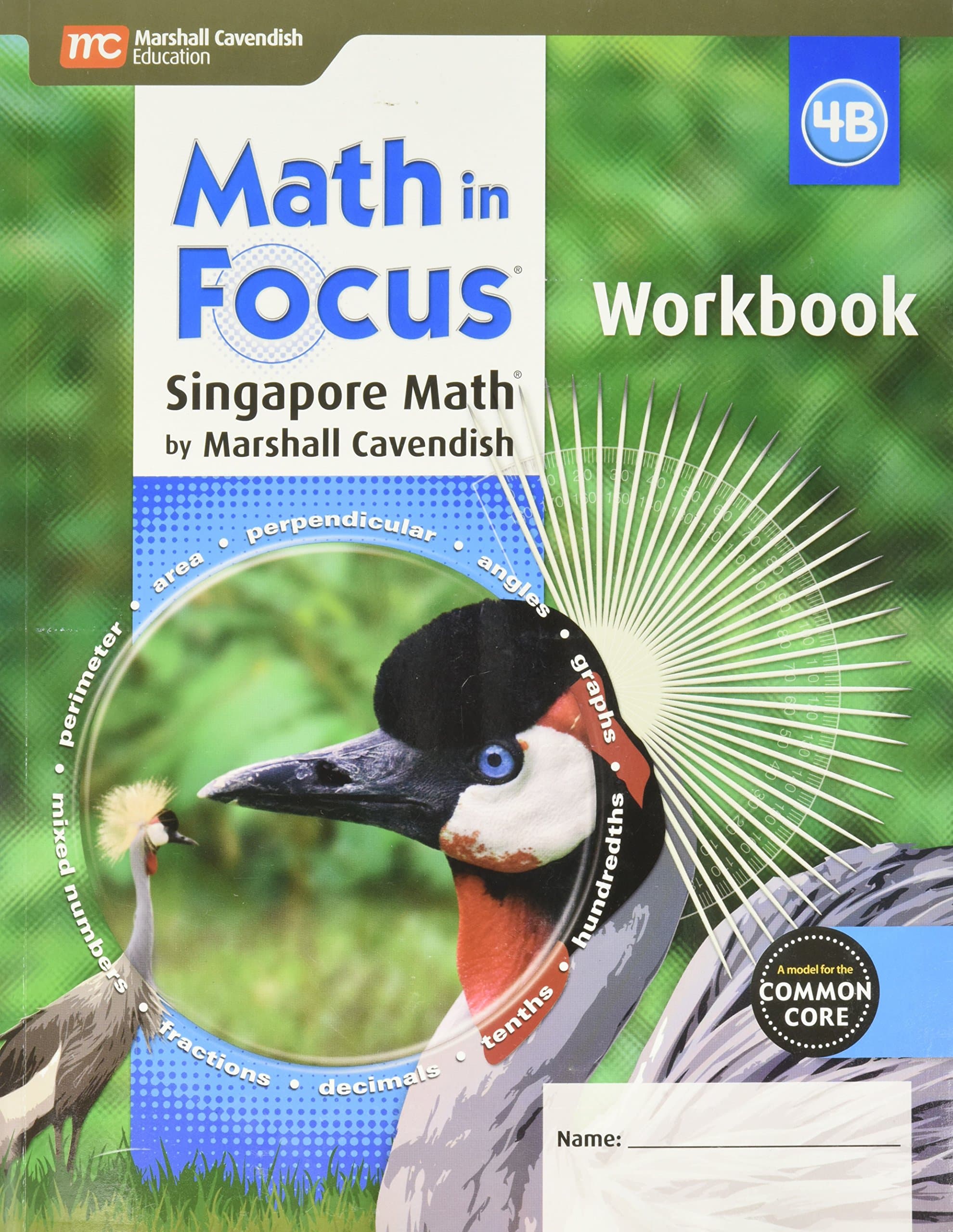 Student Workbook, Book B Grade 4 (Math in Focus: Singapore Math)