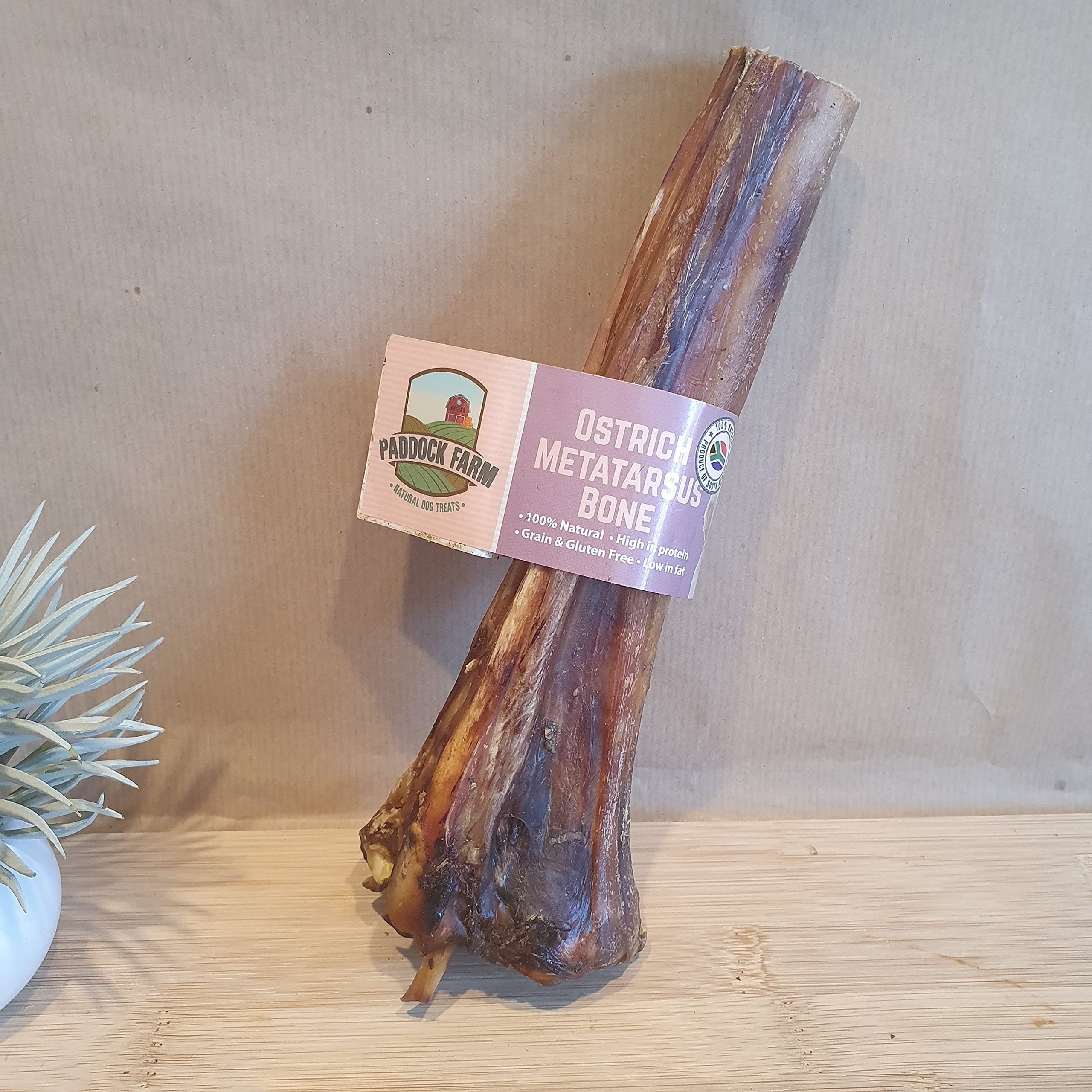 Ostrich Metatarsus Large Bone for Dogs.