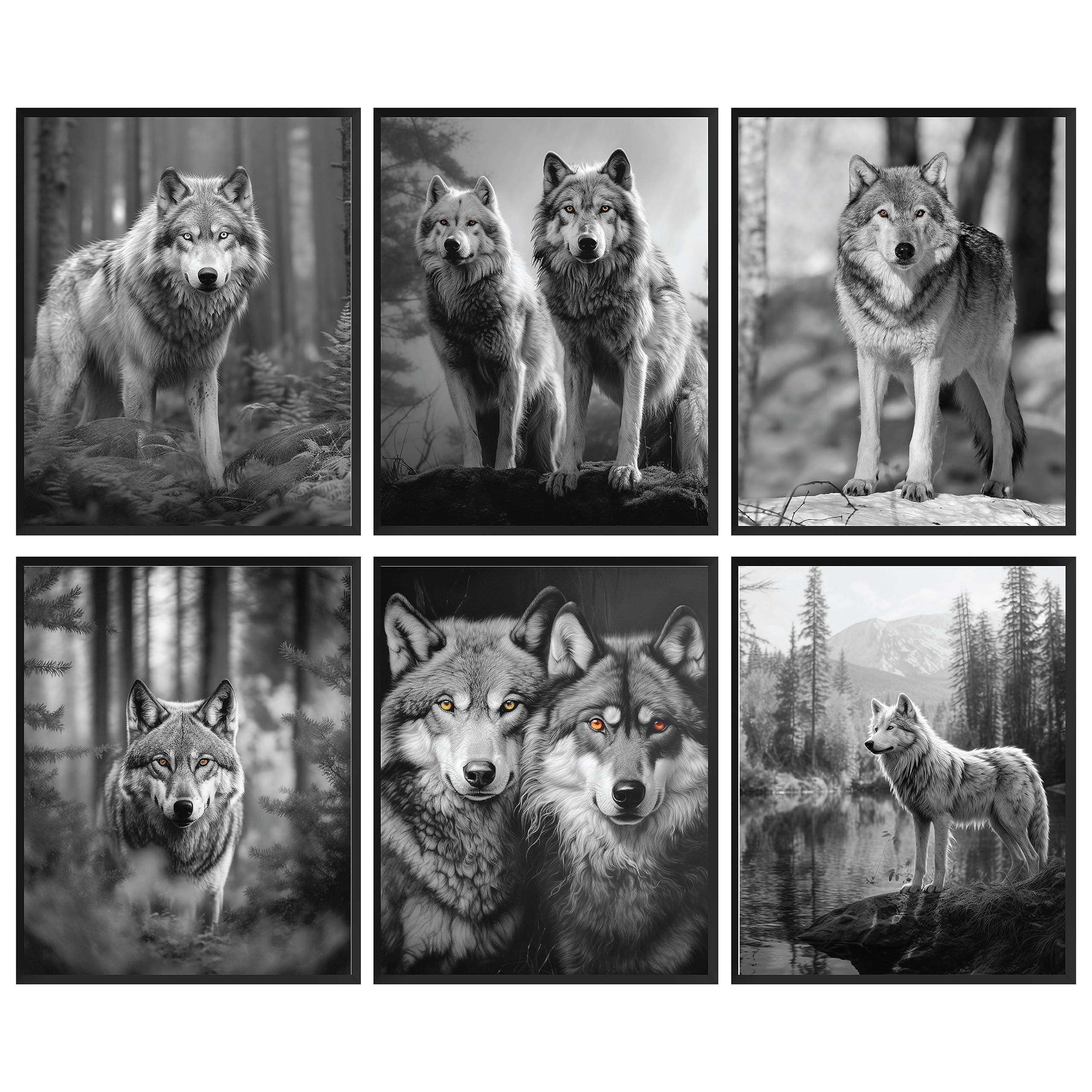 Black Wolf Decor - Wolf Poster Prints Wall Art, White Wolves Pictures for Home Bedroom, Grey Wolves Photo Wildlife Animal Posters for Boys Room (8x10 UNFRAMED)