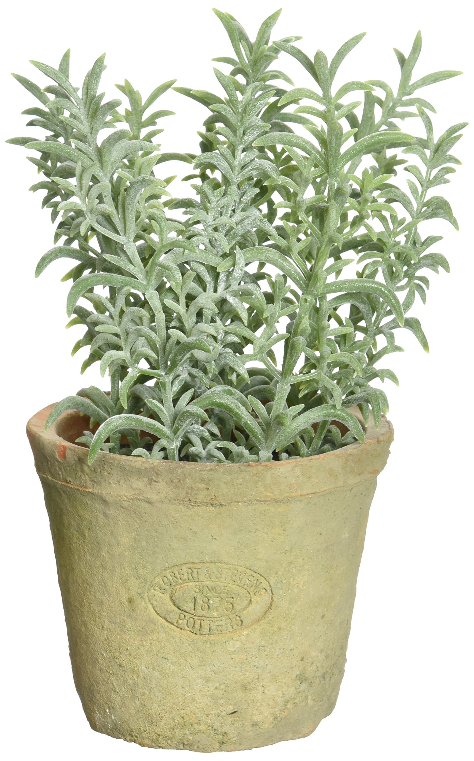 Artificial Herb Plant, Thyme, Small