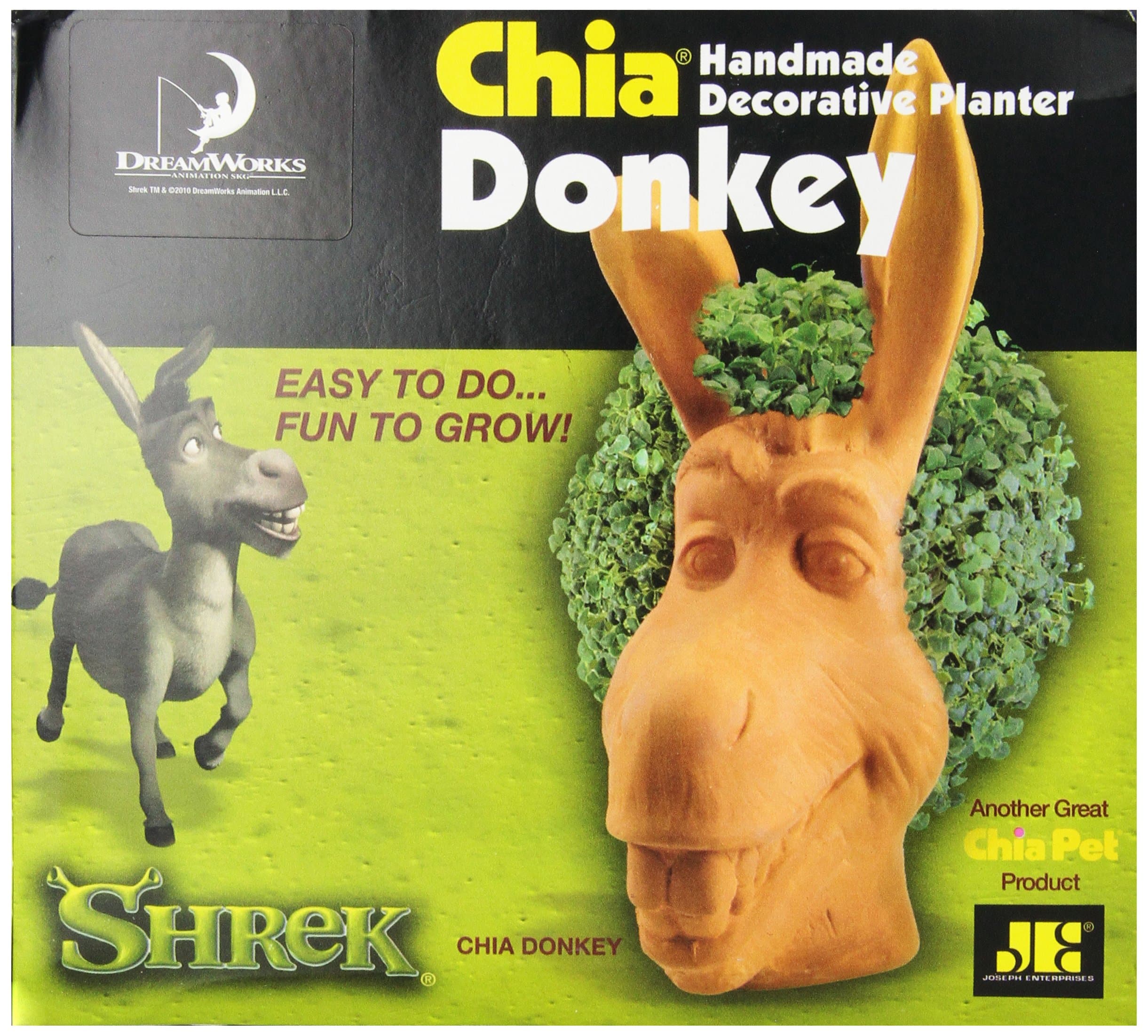 Chia Donkey Handmade Decorative Planter, 1 Kit