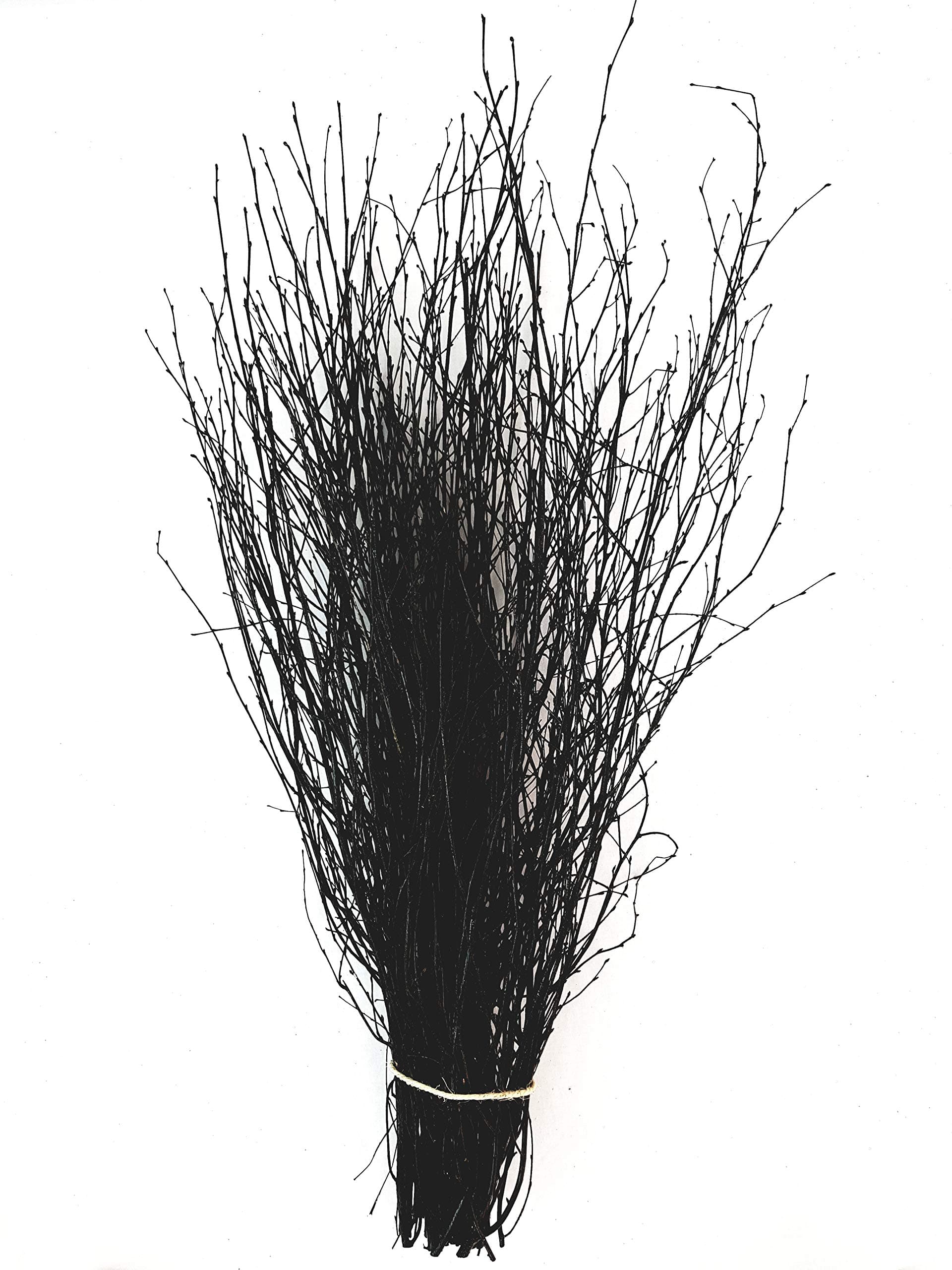 Decorative Coloured Birch Twigs and branches - Black - 90 cm's - 25 Stems