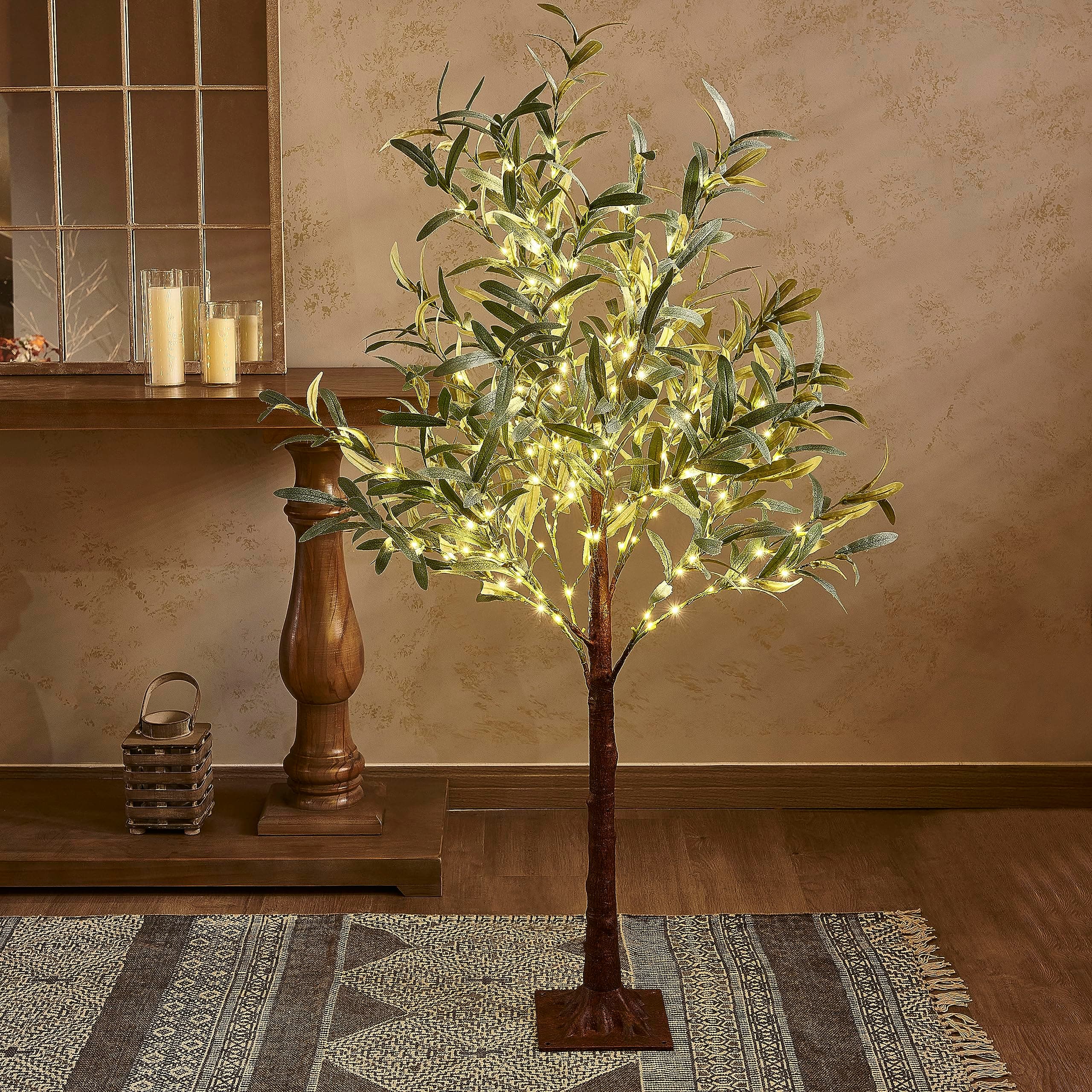 Lighted Olive Tree