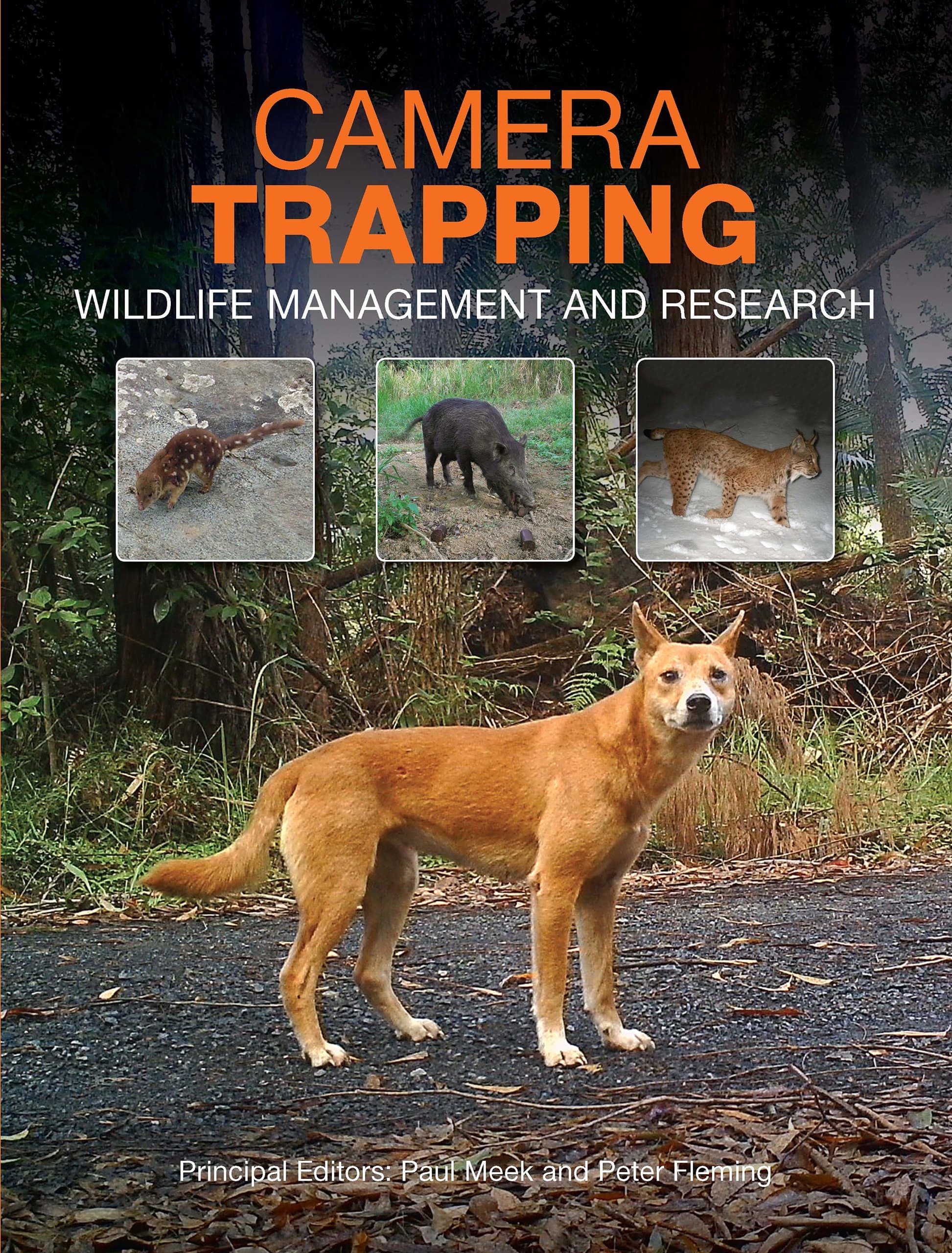 Camera Trapping: Wildlife Management and Research