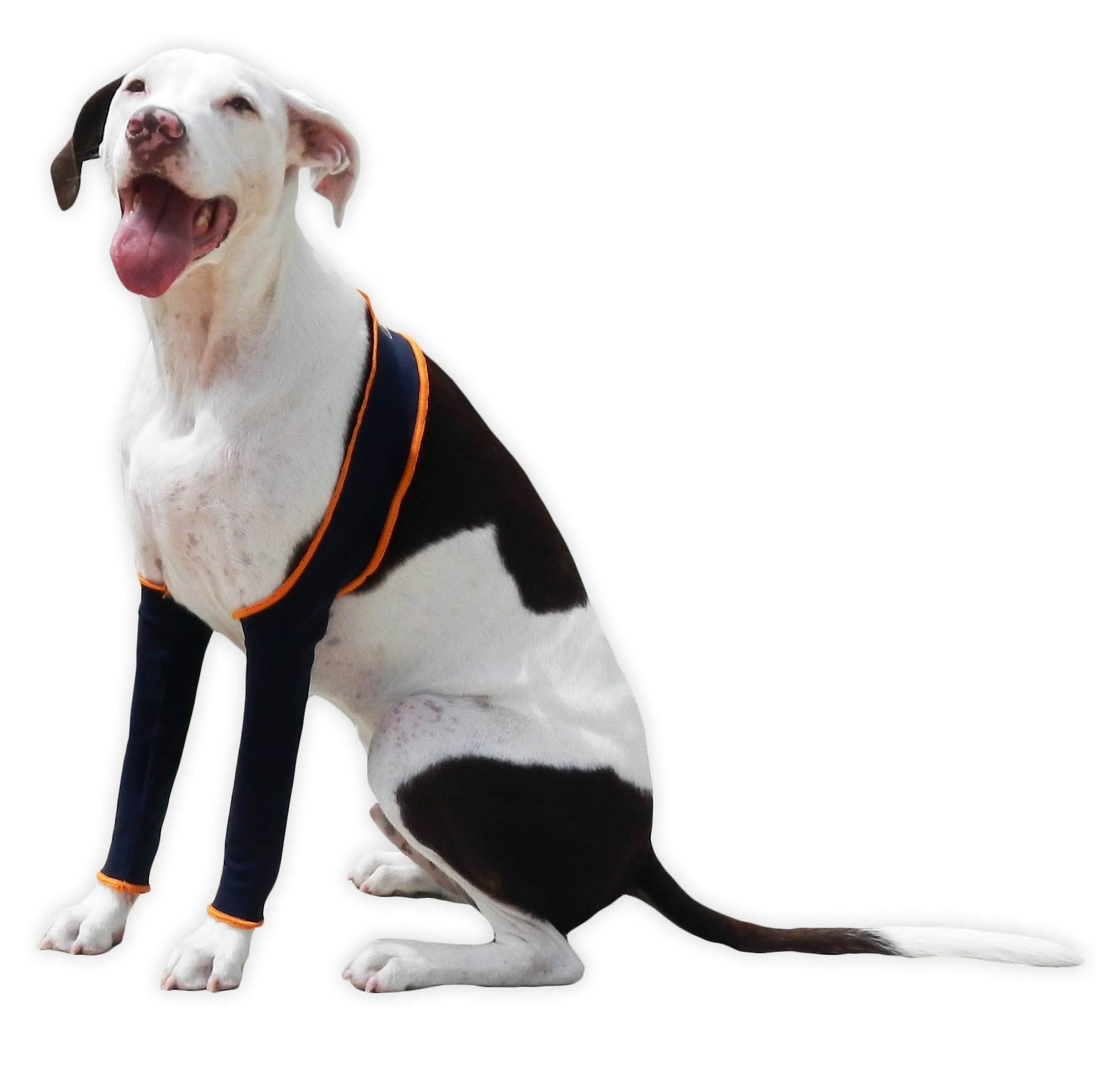 H4Legs Dog Leggings, Medium, Navy Blue