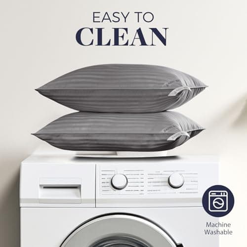 Basic Beyond Queen Size Pillows for Sleeping - Soft Down Alternative Pillows Luxury Hotel Collection Bed Pillows Queen Size Set of 2,Grey,20x28 Inches