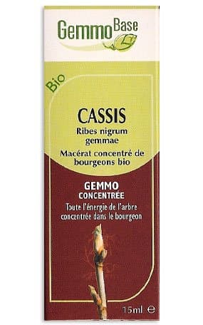 Black Current - Herbal Gem (Small)