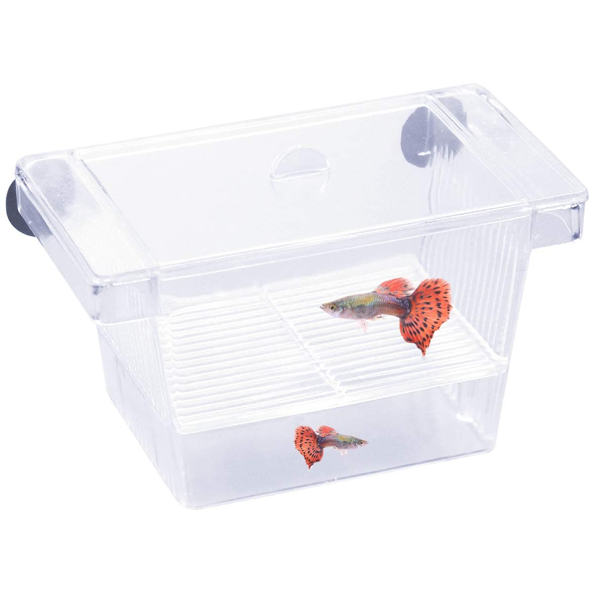 Fish Breeding Box Aquarium Isolation Case Fish Floating Hatchery Transparent Small Fish Hatching Spawning Box Fry Farming Pet Fish Protection Supplies with Suction Cup for Aquarium Fish Tank Home