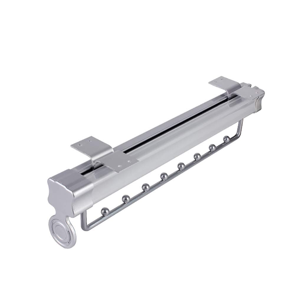 Removable Hanger with Ball Sliding Track,Extendable Wardrobe Pull Out Clothes Hanger Rail Organizer Rack (32/46cm) (Size : 46109cm)