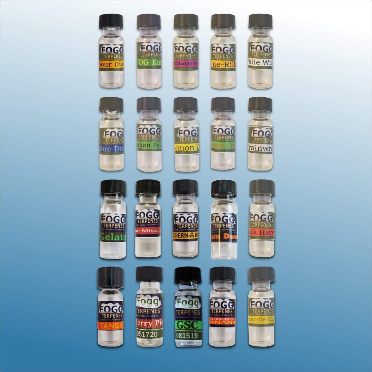 FOGG Terpenes - Complete Collection (1 ml)