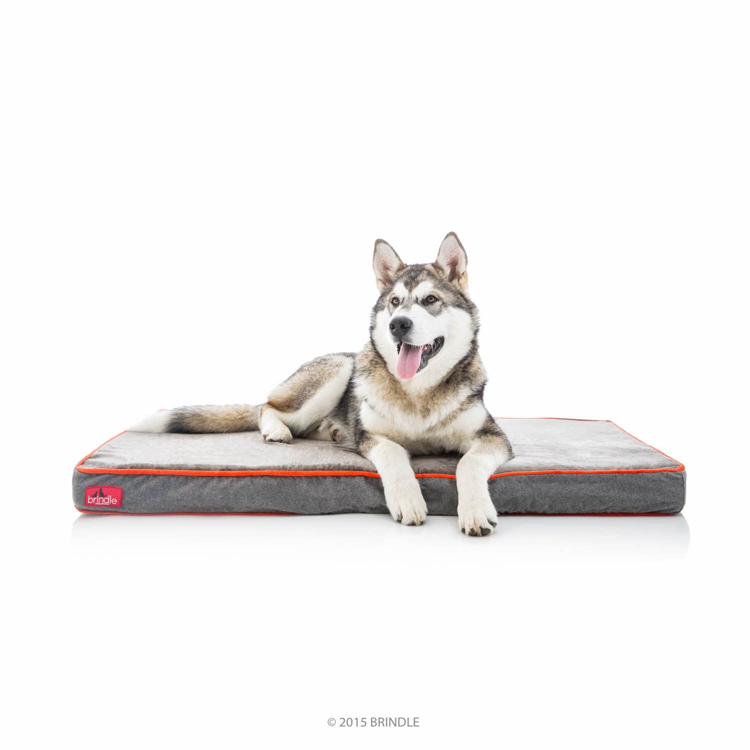 BrindleWaterproof Designer Memory Foam Pet Bed-Removable Machine Washable Cover-4 Inch Orthopedic Pet Bed-Joint ReliefOEKO-TEX STANDARD 100