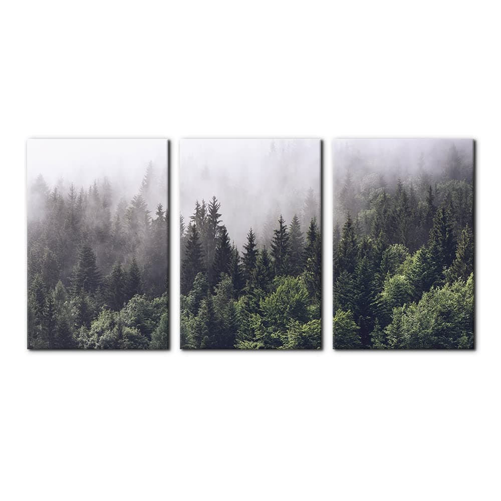 Pacimo Canvas Wall Art Fog Over Pine Tree Forest Nature Wilderness Photography Modern Art Rustic Landscape Relax/Calm Cool for Wall Decor Giclee Artwork Stretch Framed Ready to Hang - 16"x24"x3