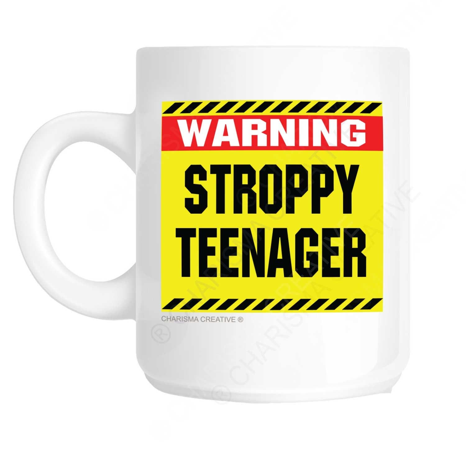Warning Stroppy Teenager Mug