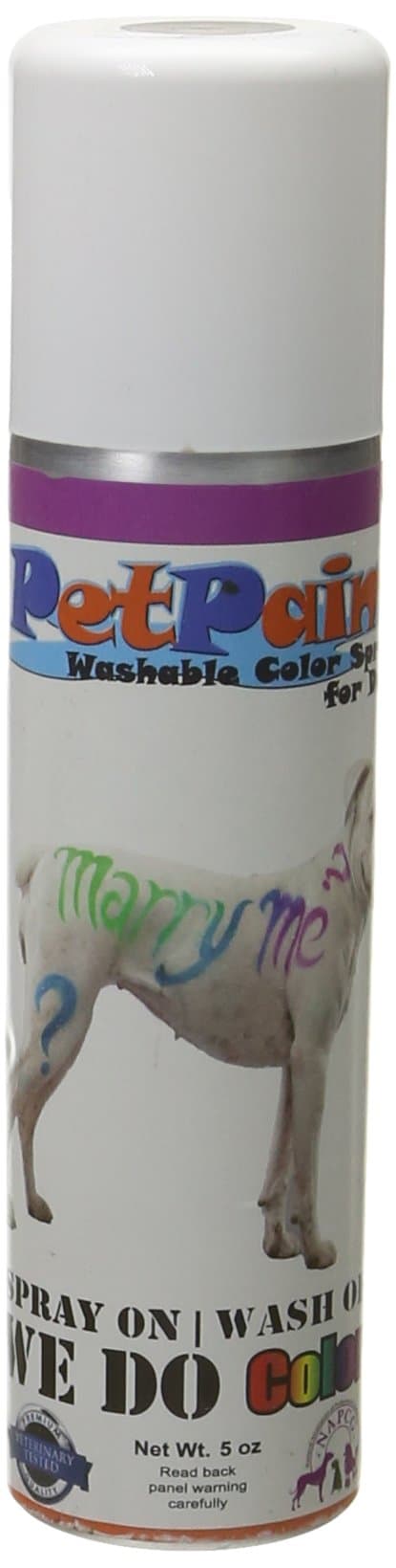 Petpaint Inc Pet Paint Pug