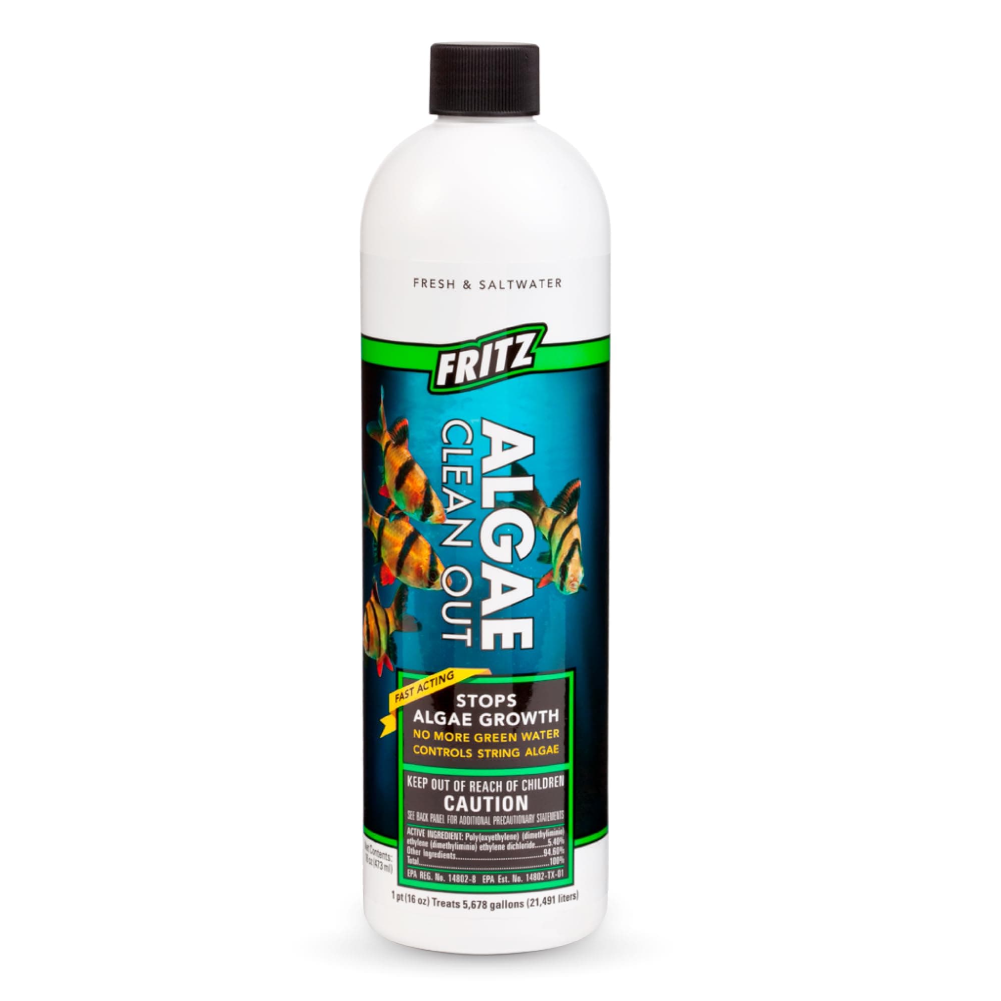Algae Clean Out | Size: 473ml (16oz) | Algae Remover for Aquarium | Indian Fish Monsters (IFM)