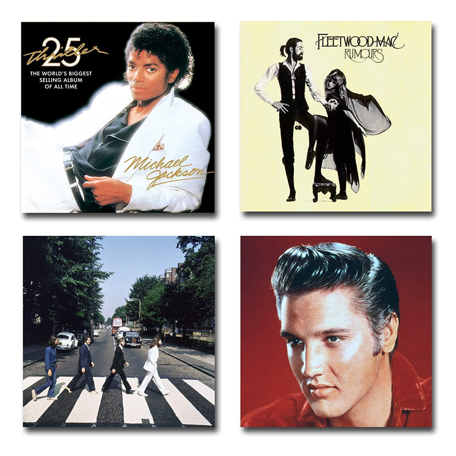 Peel N Stick Hook N Loop Record Album Holder Wall Mount Hanger Shelf Display Frames (4 pack)