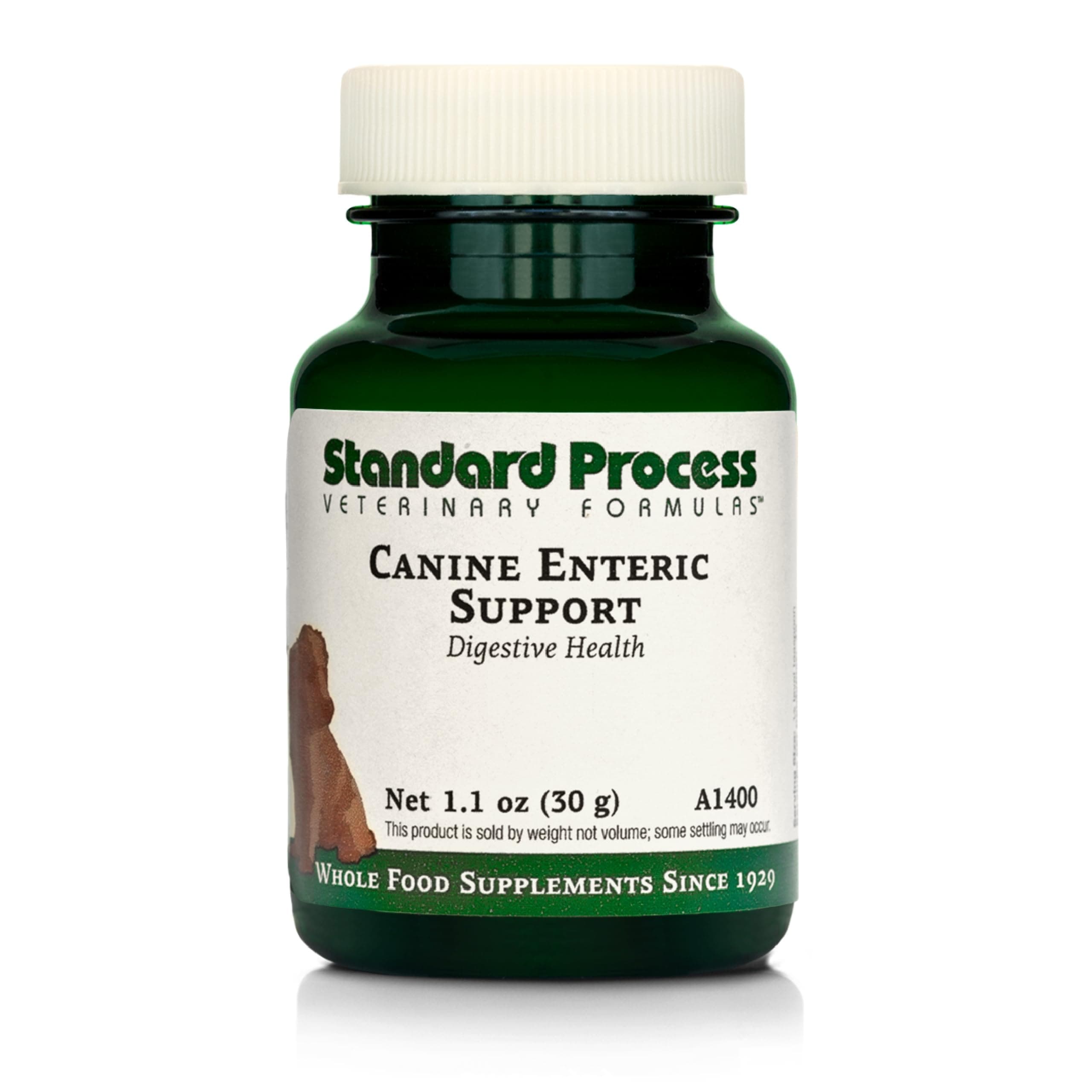Standard Process Inc. - Canine Enteric Support - 30 Grams
