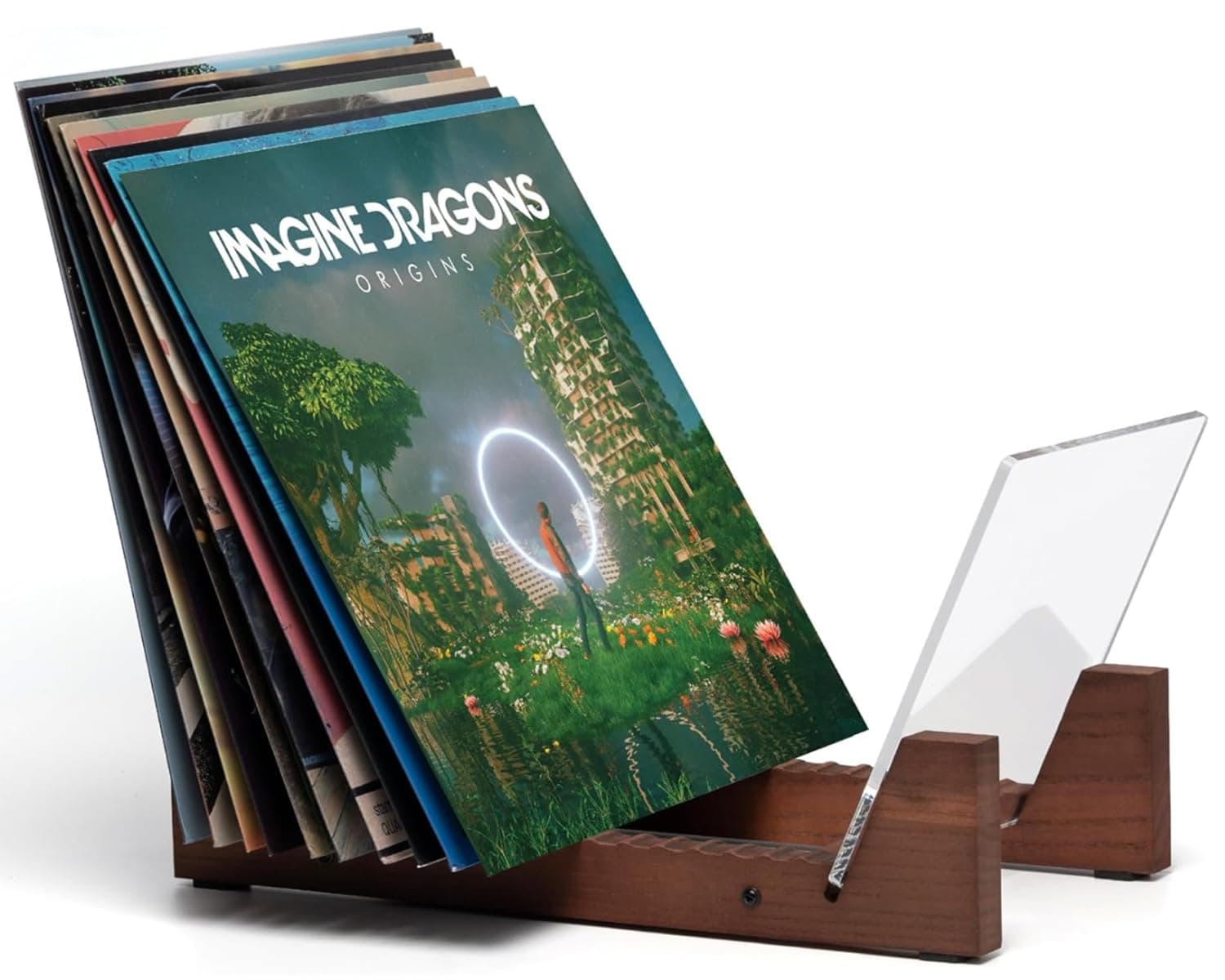 Vinyl Record Holder & Display