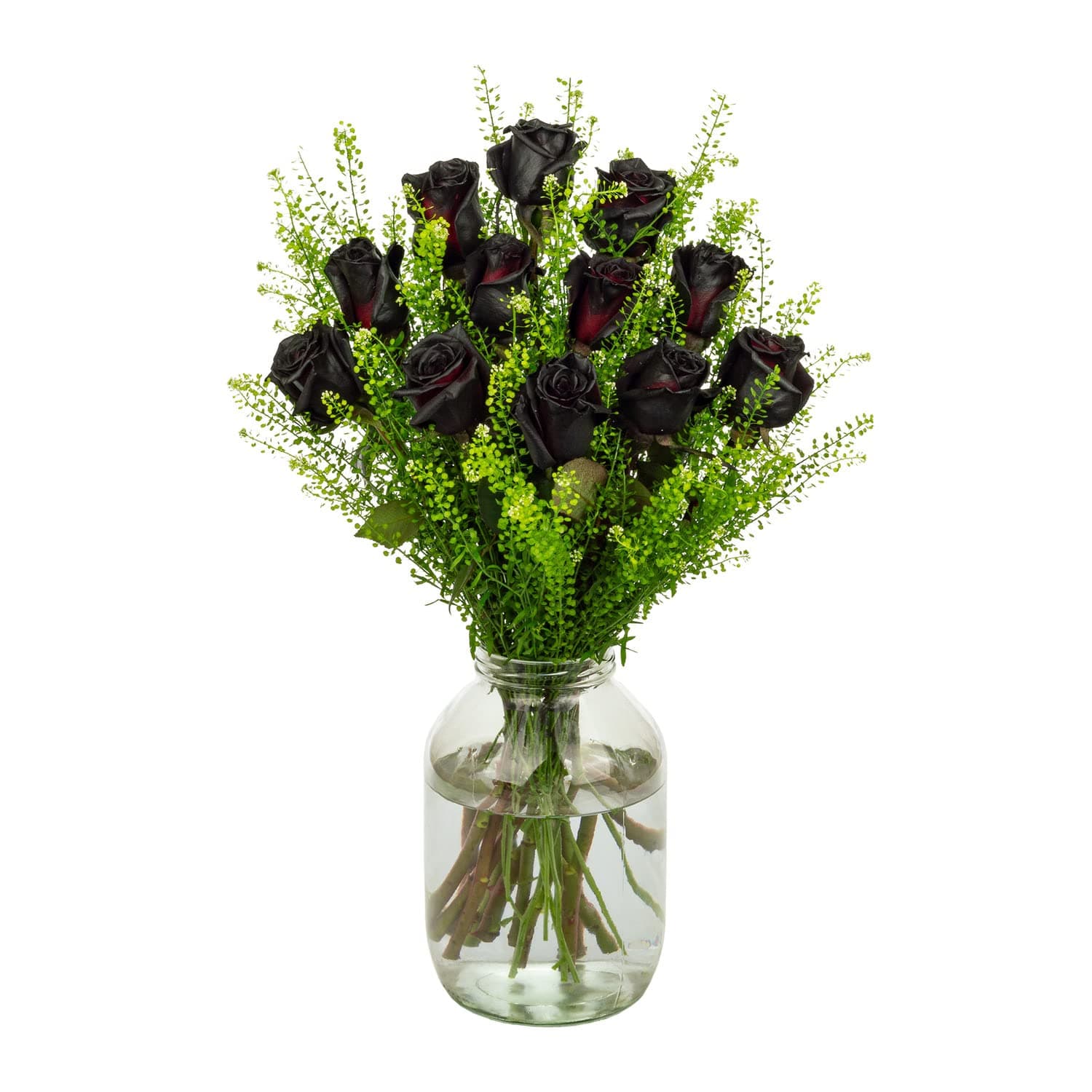 InterRose | Dozen Black Rose Bouquet with 12 Fresh Black Sprayed Roses with Exotic Foliage