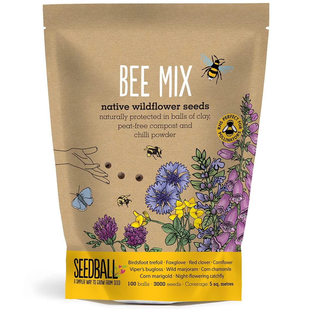 SEEDBALL Bee Mix Seed Bombs - 100 Seed Balls Per Pack | Eco Friendly British Wild Flower Seed Mix for Bees & Garden Wildlife - Poppy, Chamomile, Cornflower, Corn Marigold & Night-Flowering Catchfly