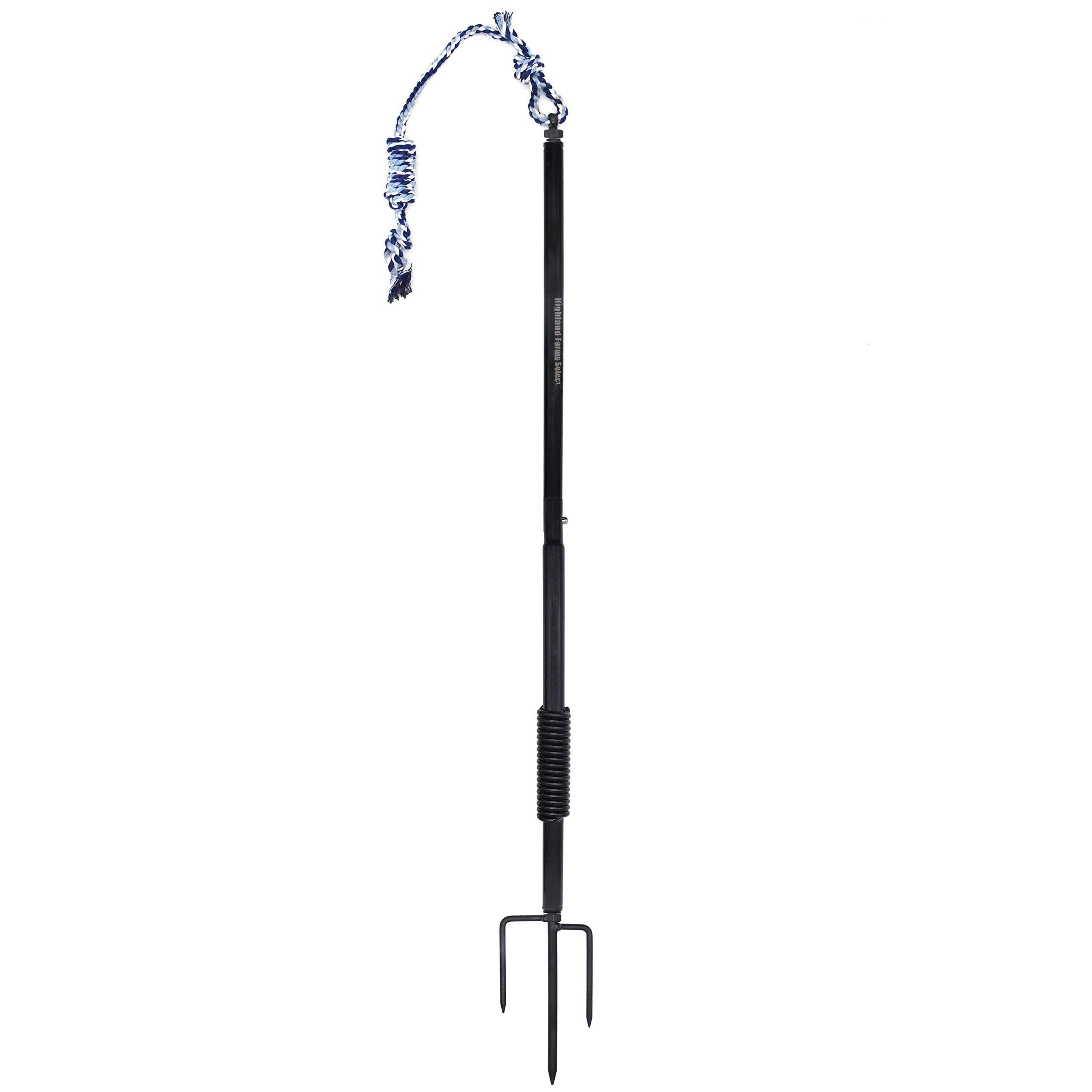 Dog Retractable Interactive Training Tug Toy - Pet Obedience Training Tug - Stable Exercise Metal Pole & Spring Rod with Replaceable Chew Rope for Small/Medium Dogs