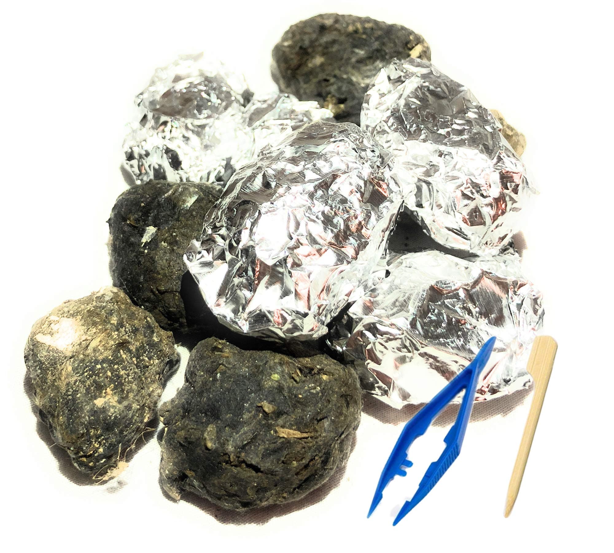 Premium Barn Owl Pellets, Small: 1.25"-1.5" (Pack of 20) - Free Bone Identification Chart, Forceps, Paddle Picks, and Teaching Guide Included!