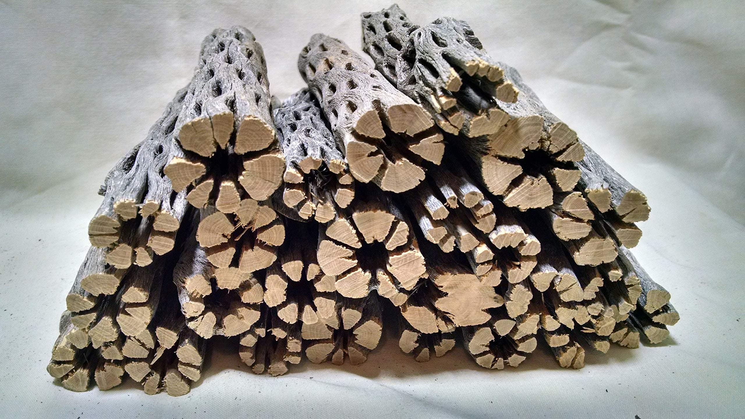 OSHOOM rowdyboy2us 25 pc. Cholla Wood 6"